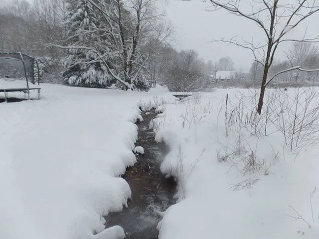 Photo from Denise’s Property In Johnathan Creek