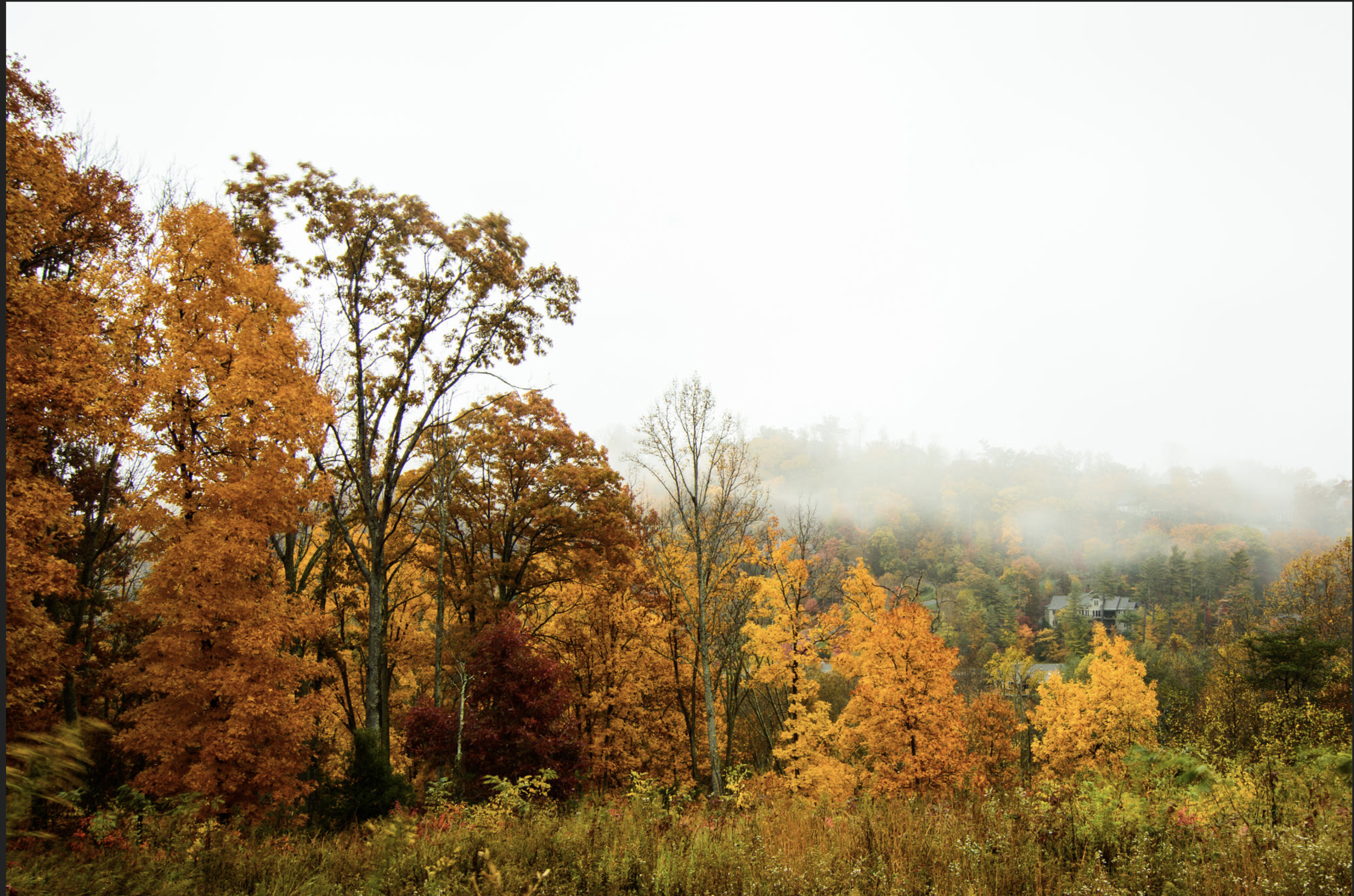 Photo Taken October 26th Just North of Asheville By Meteorologist Hunter Ward