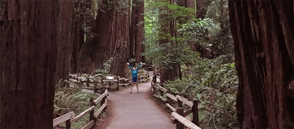 Walking through Muir Woods, California