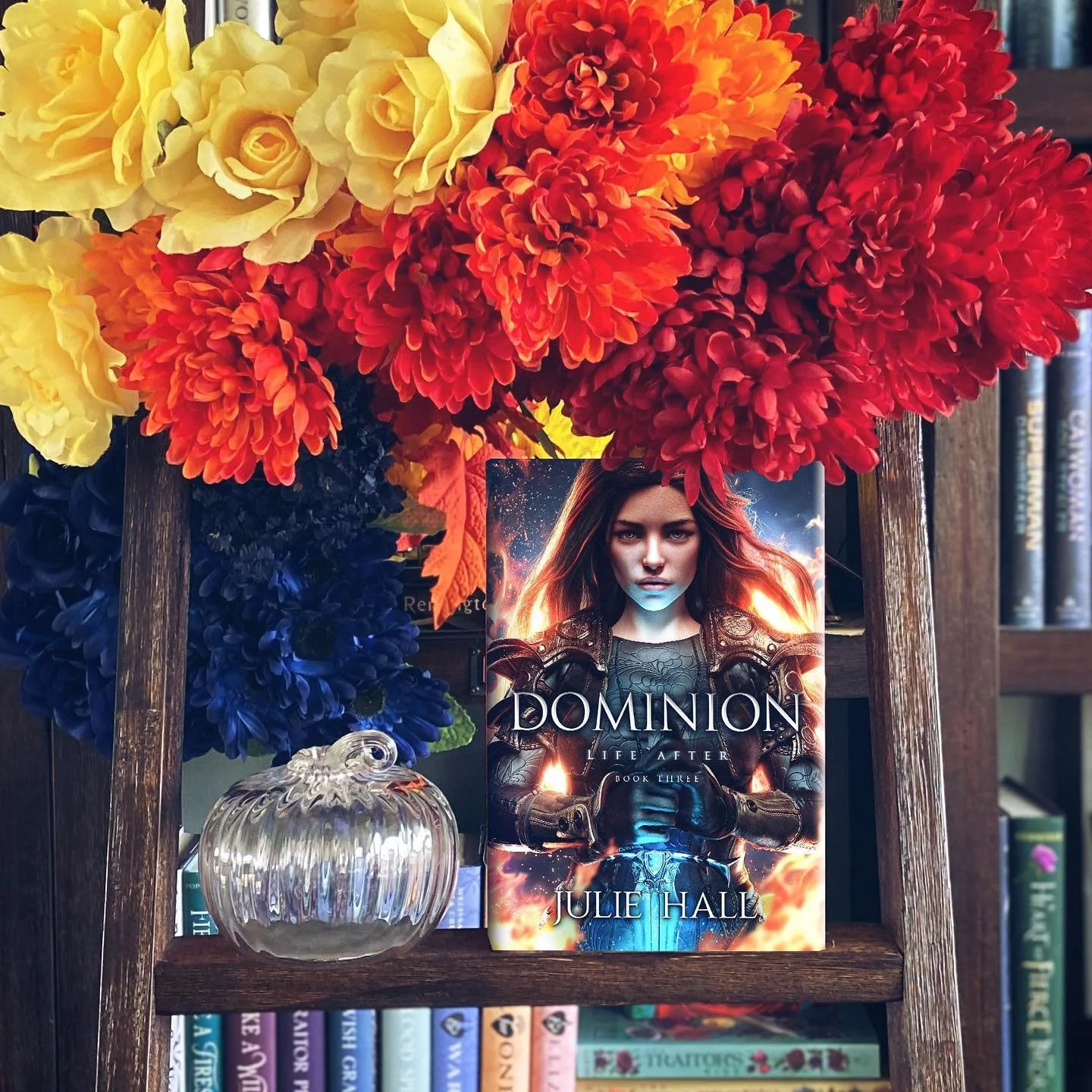 dominion on ladder.jpeg