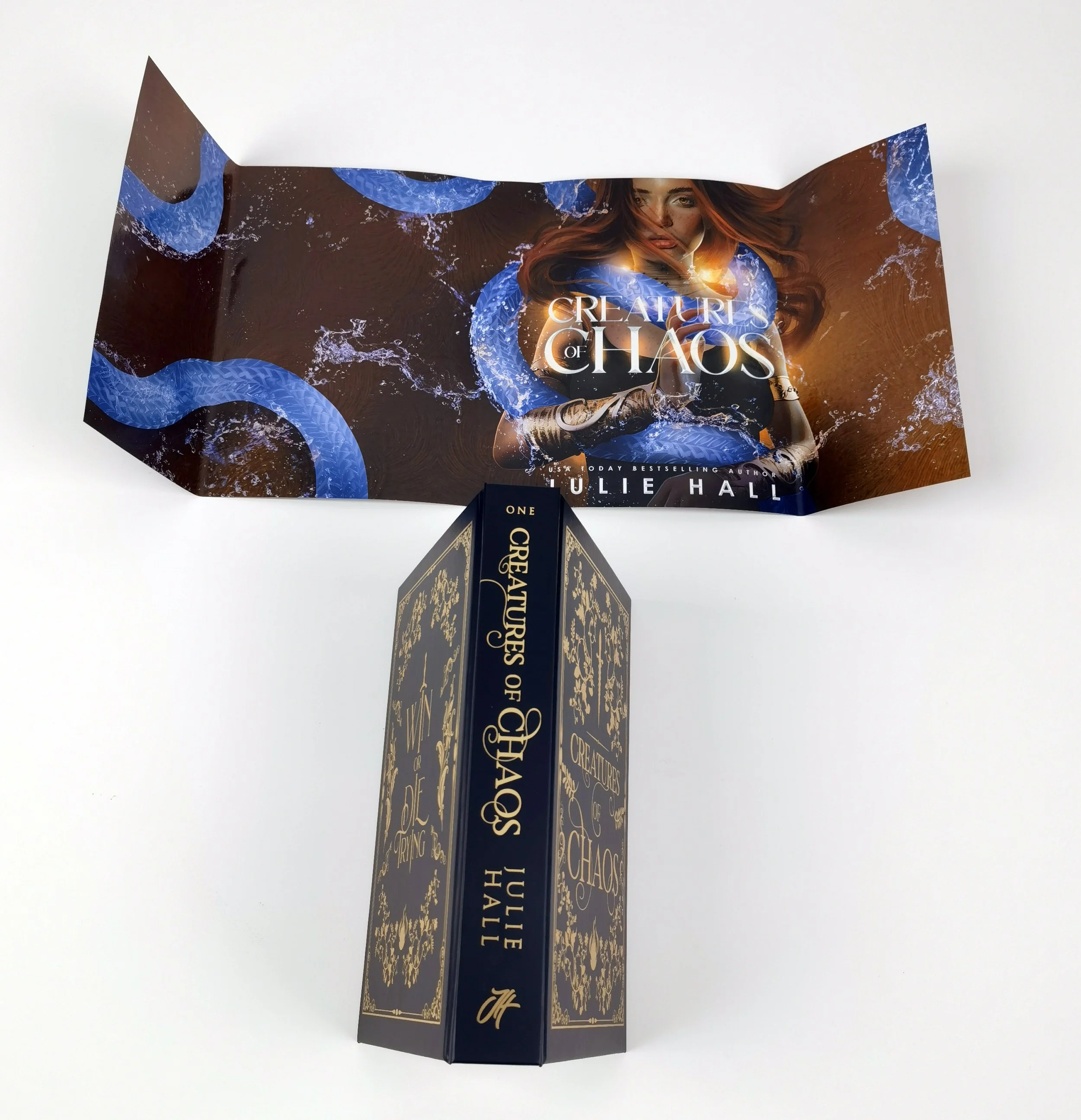 7 - Case Cover - Reverse Jacket.jpg