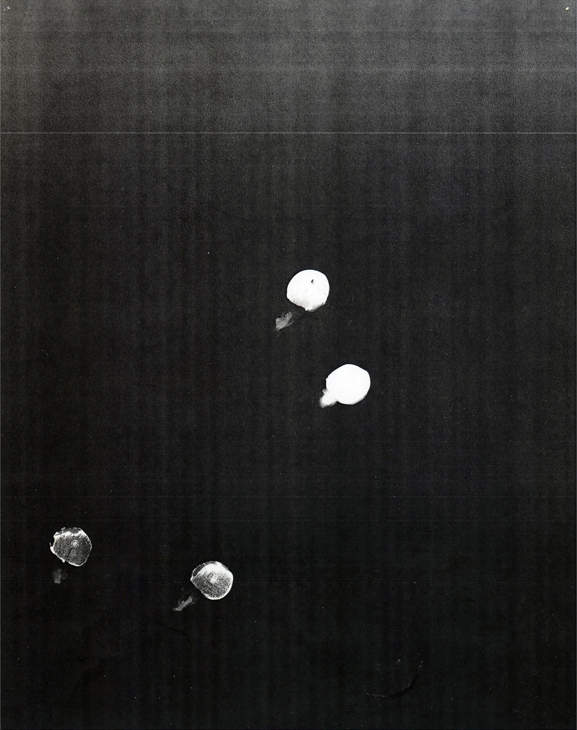 Xerox (Hoofs ), 2015. Digital print of a photocopy. 20 x 17 in.