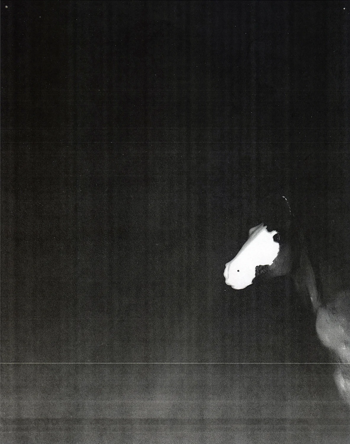Xerox (Horse) , 2015. Digital print of a photocopy. 20 x 17 in.