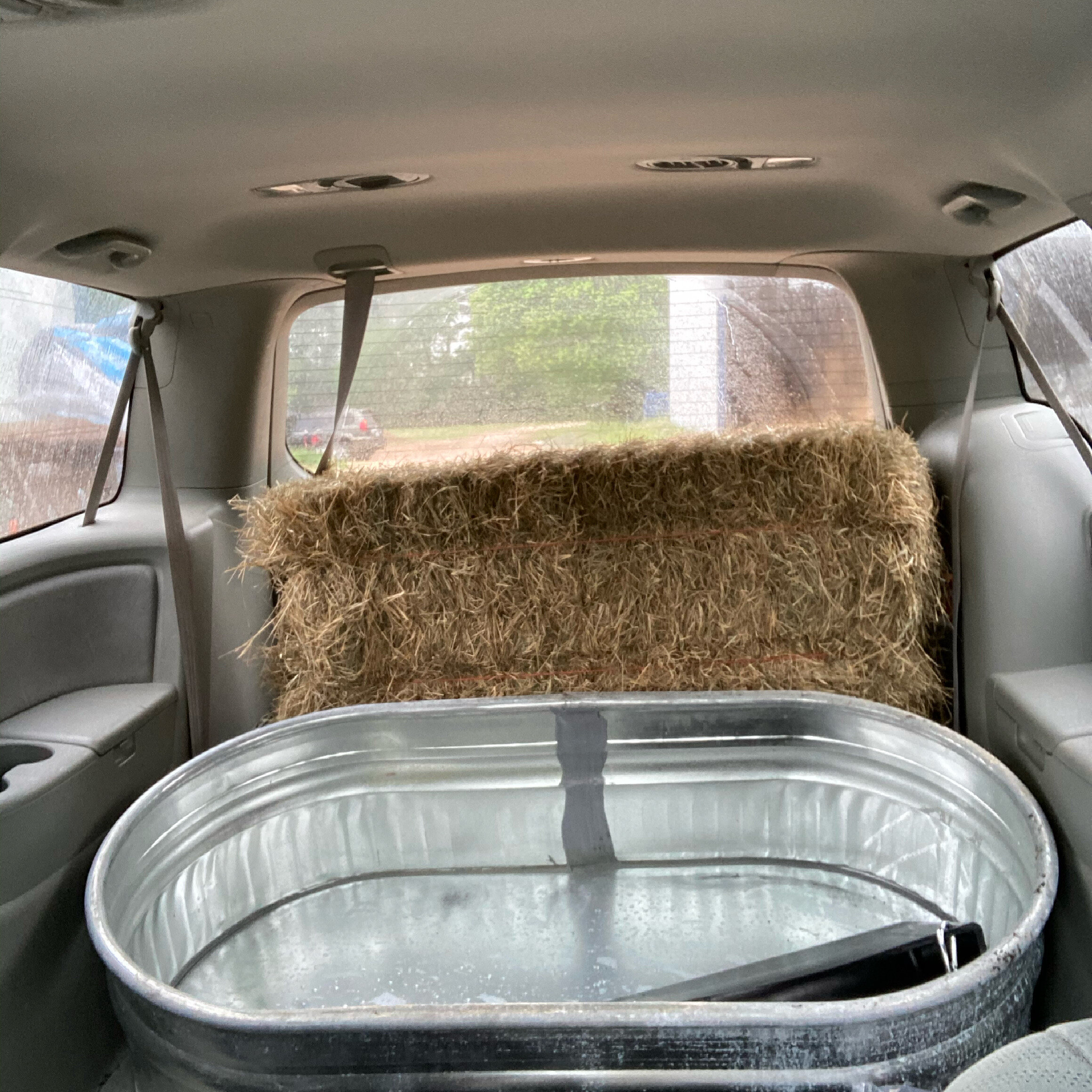 Prepwork: loading up hay bale and water tub