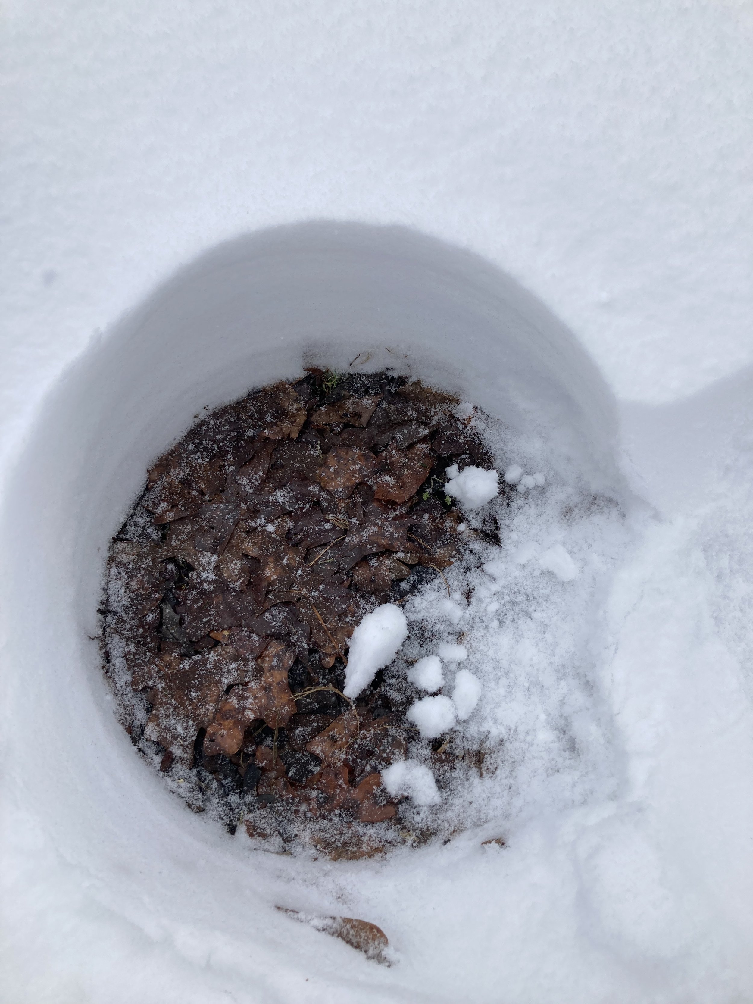 Indent from a Water Bowl