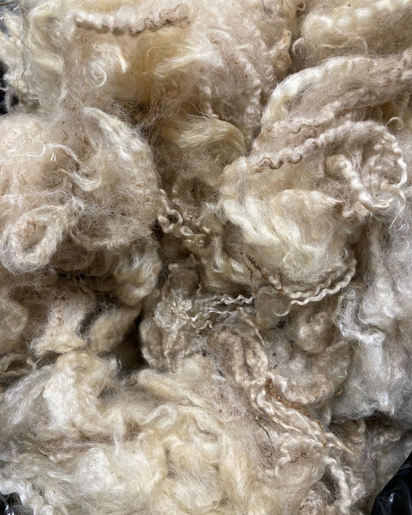 First fleece