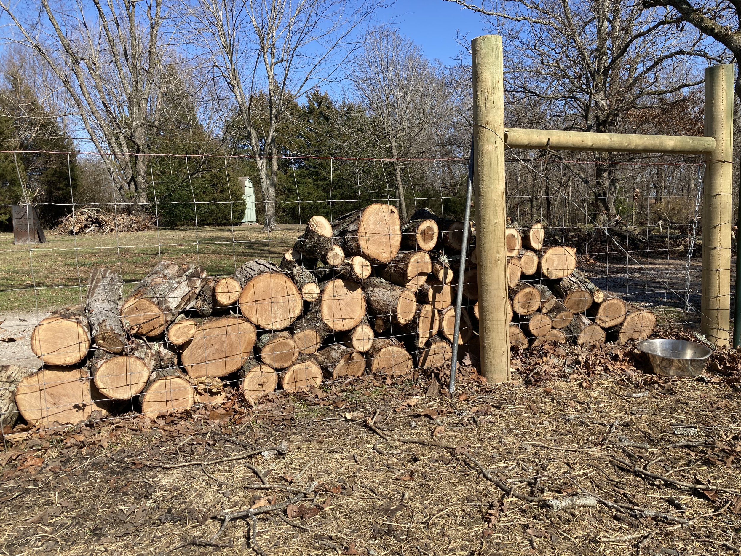  Time spent caring for two Bluefaced Leicester sheep and livestock guardian dogs in the Ozark Mountains region of Northwest Arkansas, Fieldwork is a rumination on a learning curve, a reflection on the acts of owning, belonging, and care. It is also a