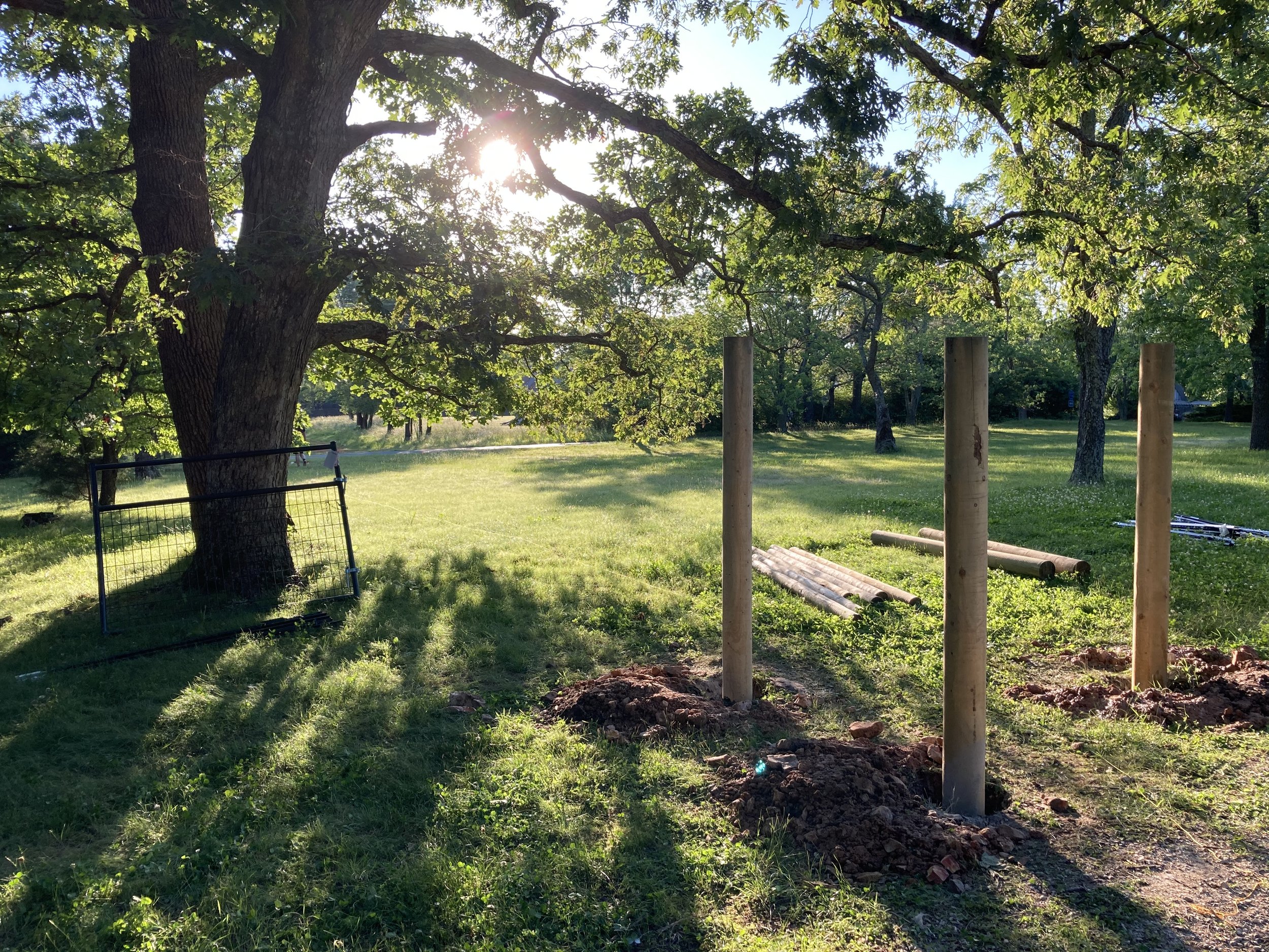  Time spent caring for two Bluefaced Leicester sheep and livestock guardian dogs in the Ozark Mountains region of Northwest Arkansas, Fieldwork is a rumination on a learning curve, a reflection on the acts of owning, belonging, and care. It is also a