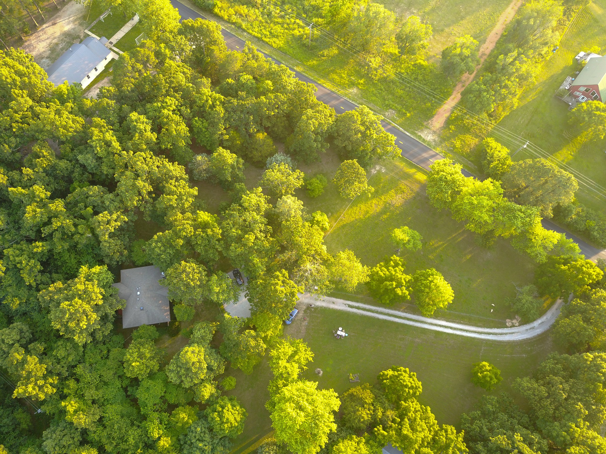 Sheep in the pasture (aerial)