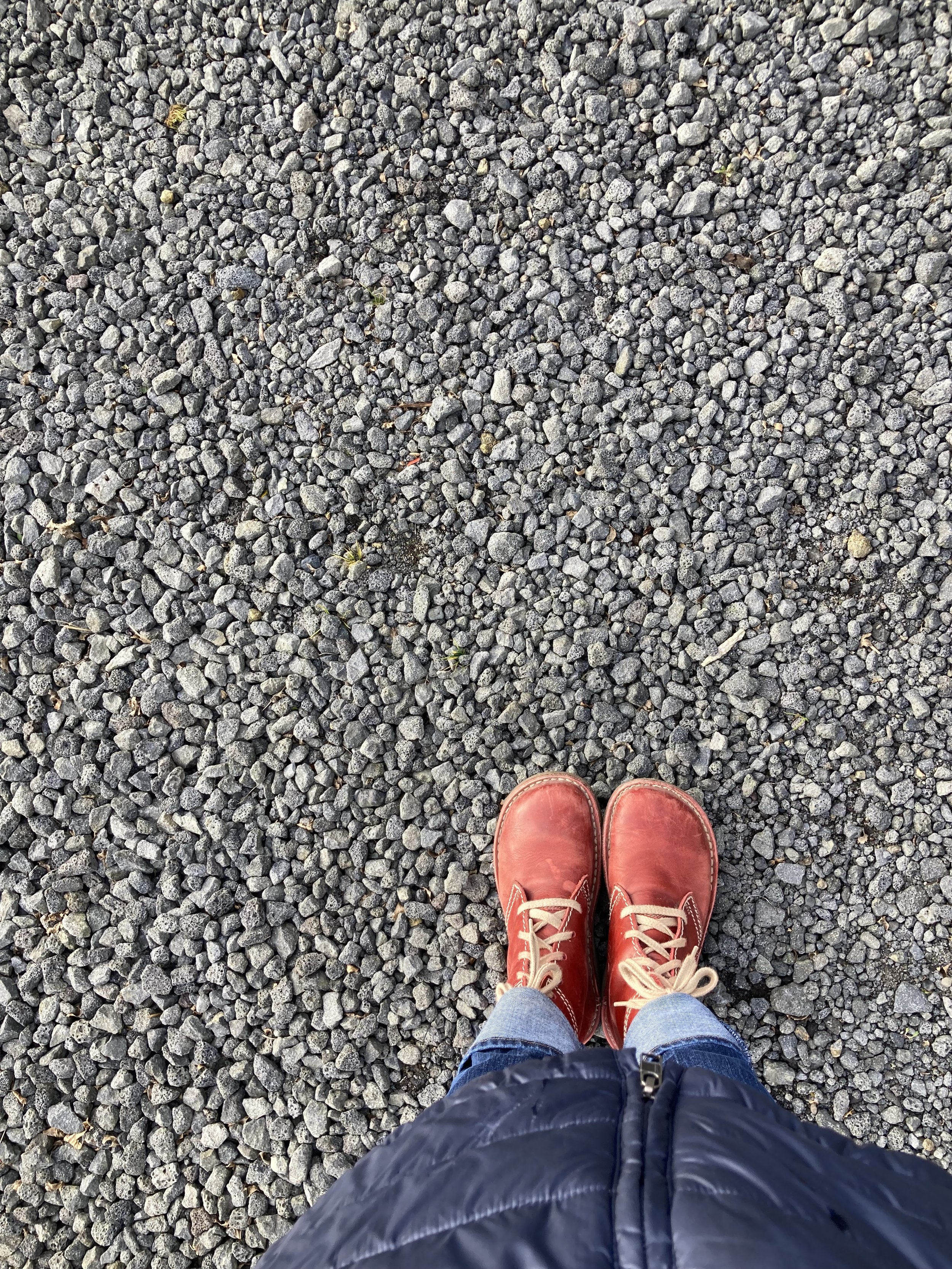 Walking the farm, west of Selfoss.