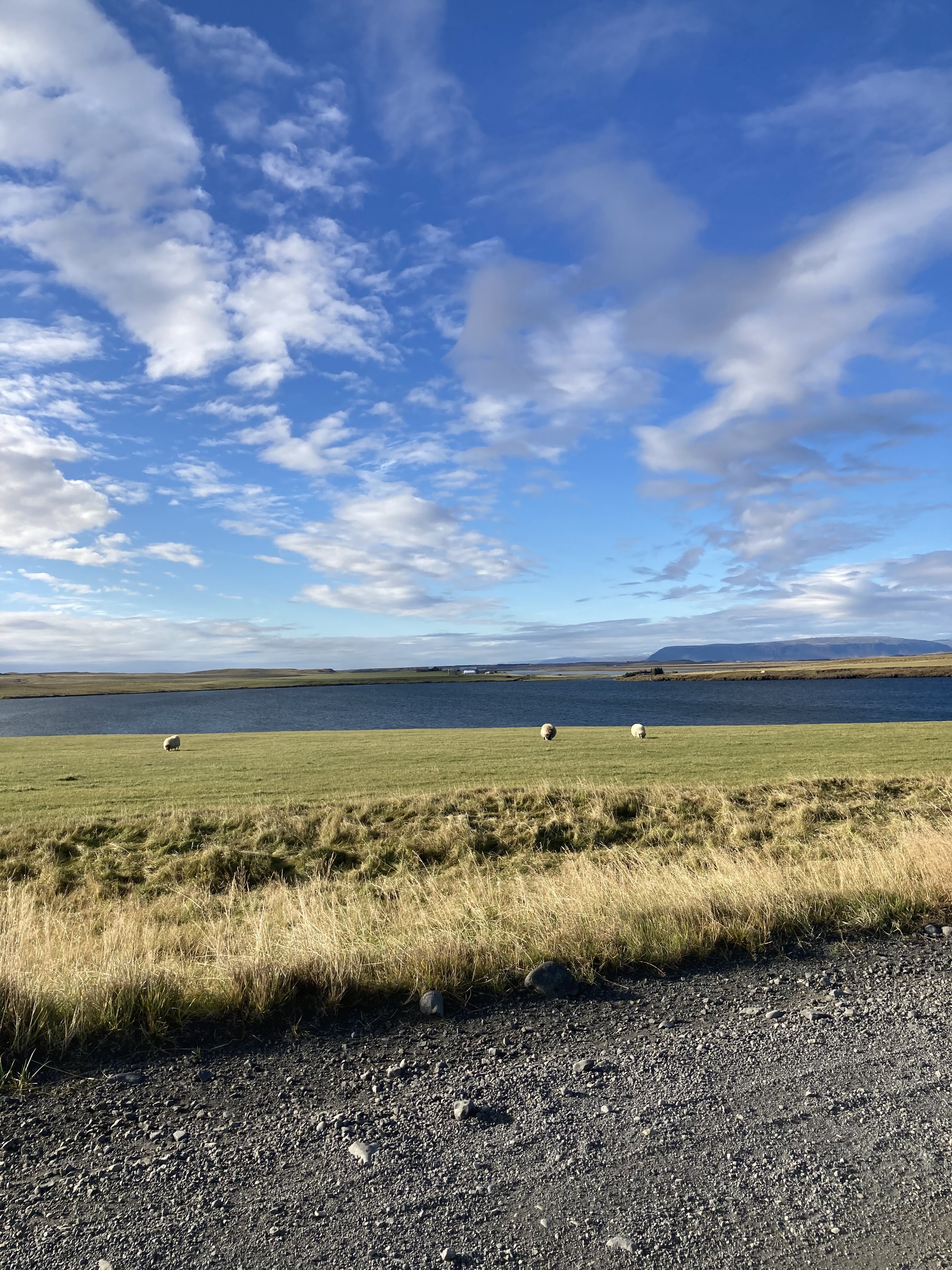 On the way to a friend's farm, west of Selfoss.