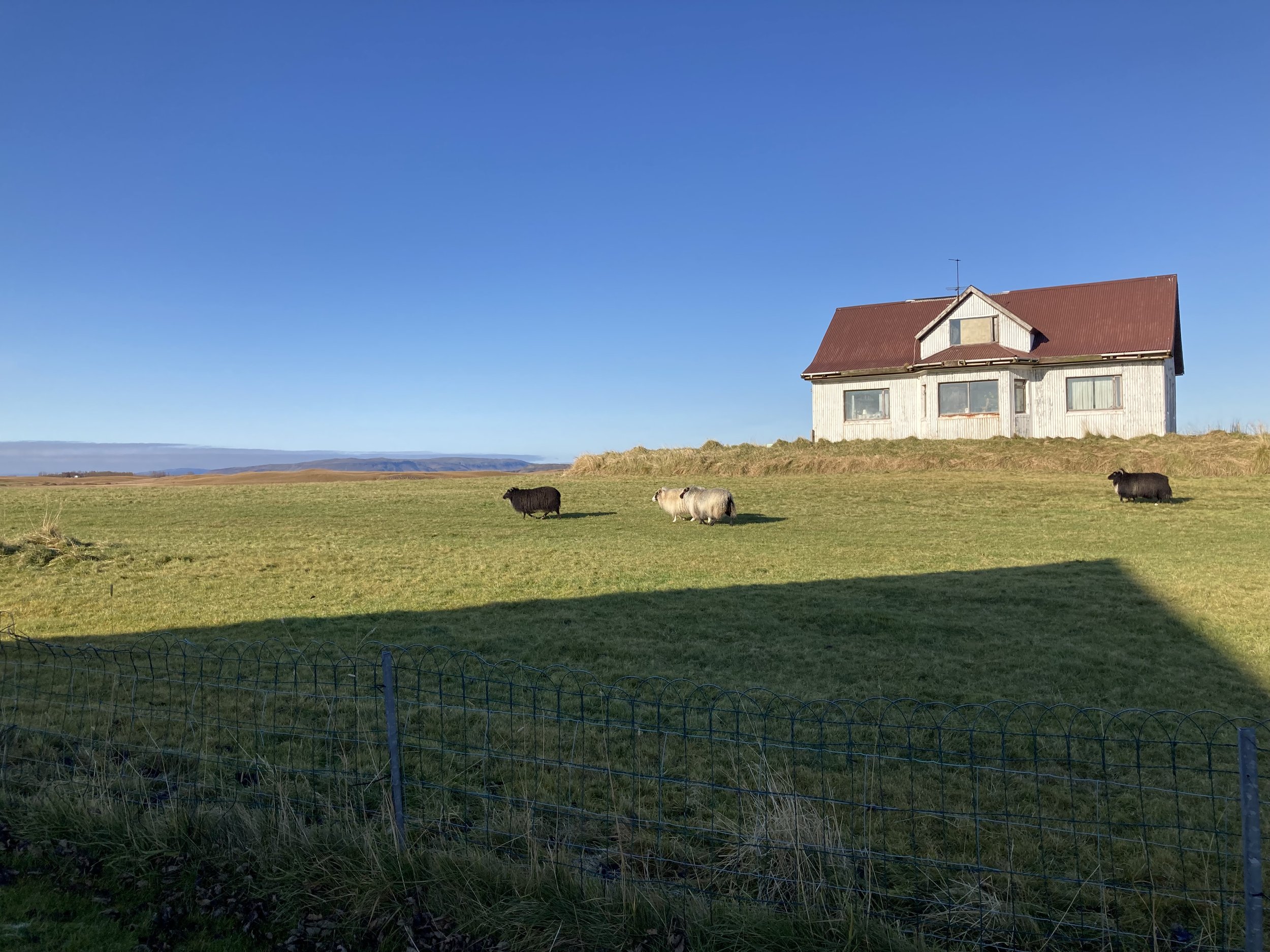 A friend's farm, west of Selfoss.