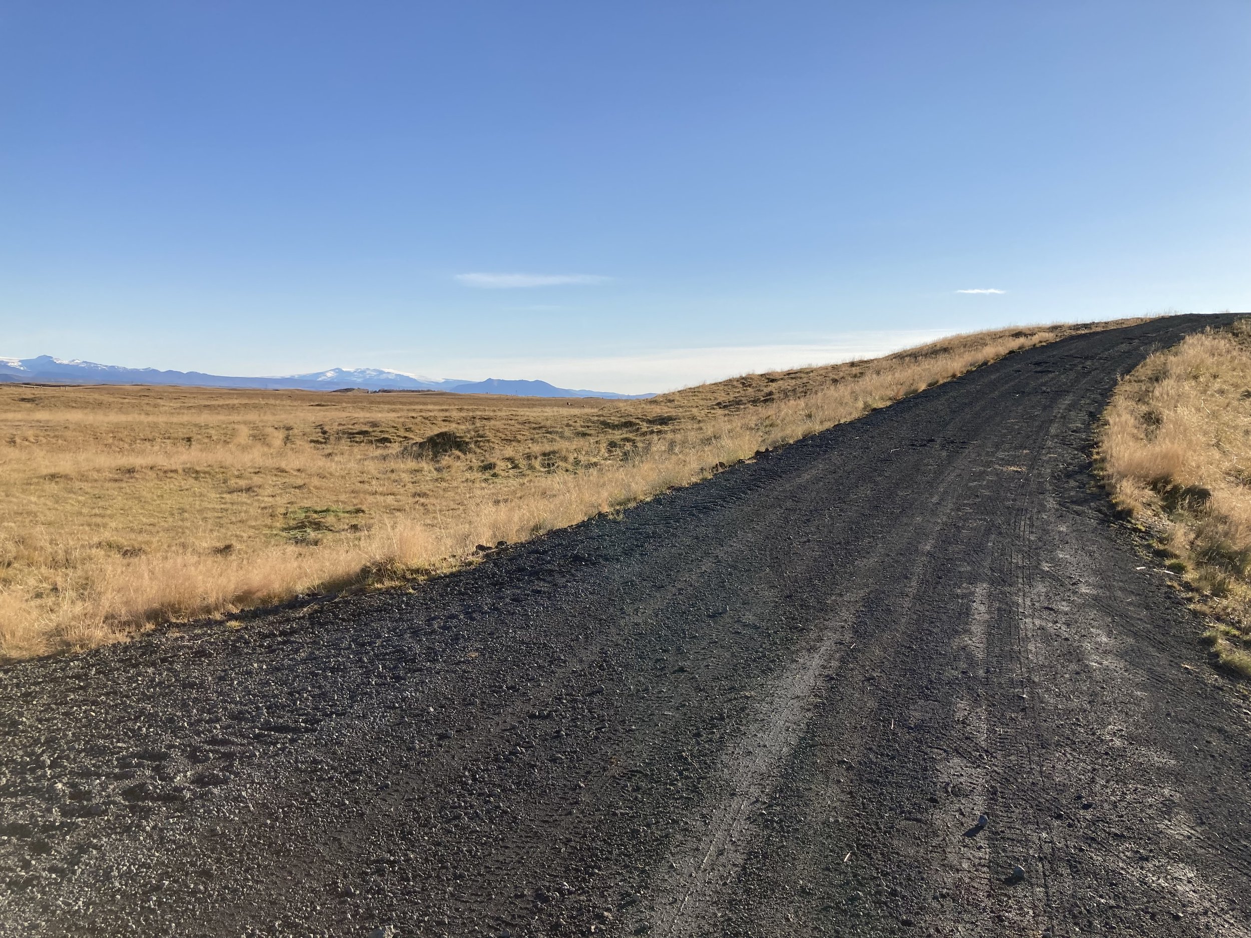 Walking the farm, west of Selfoss.