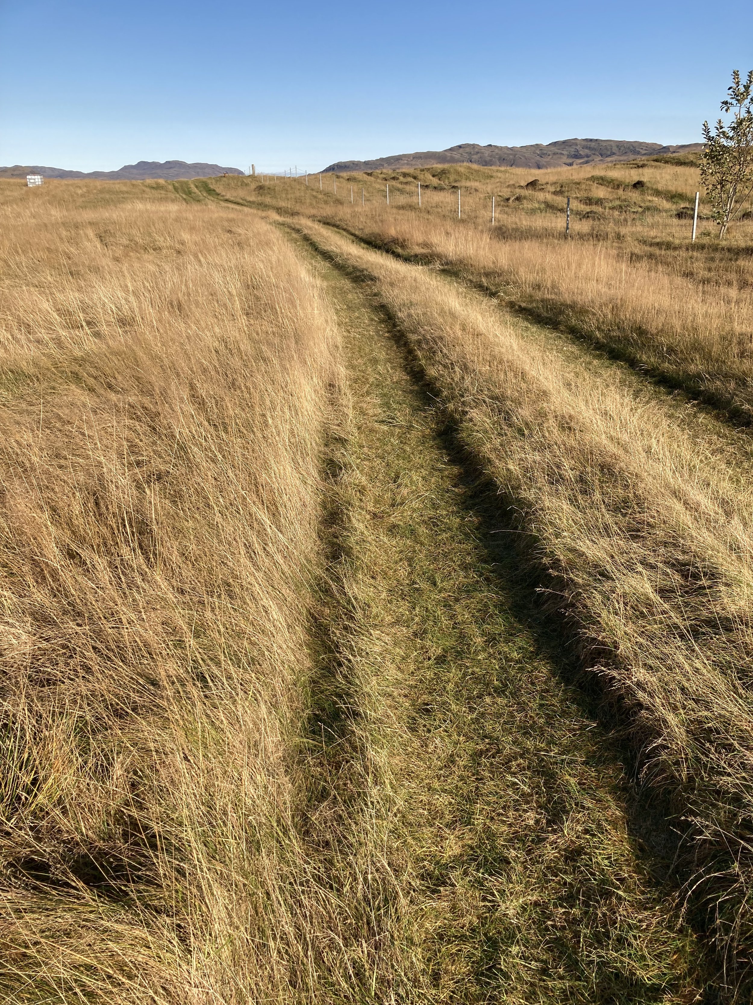 A friend's farm, west of Selfoss.