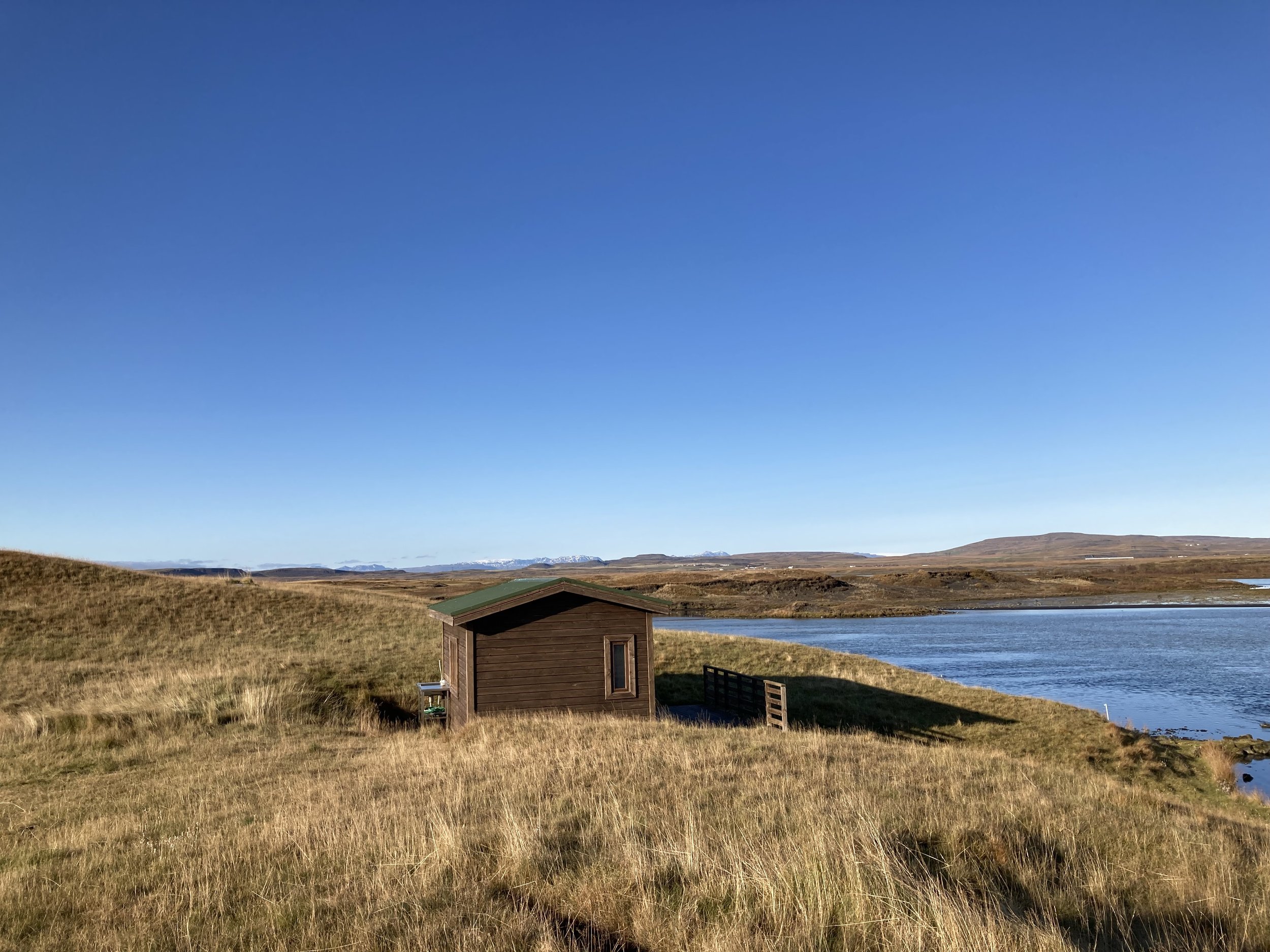 Walking the farm, west of Selfoss.