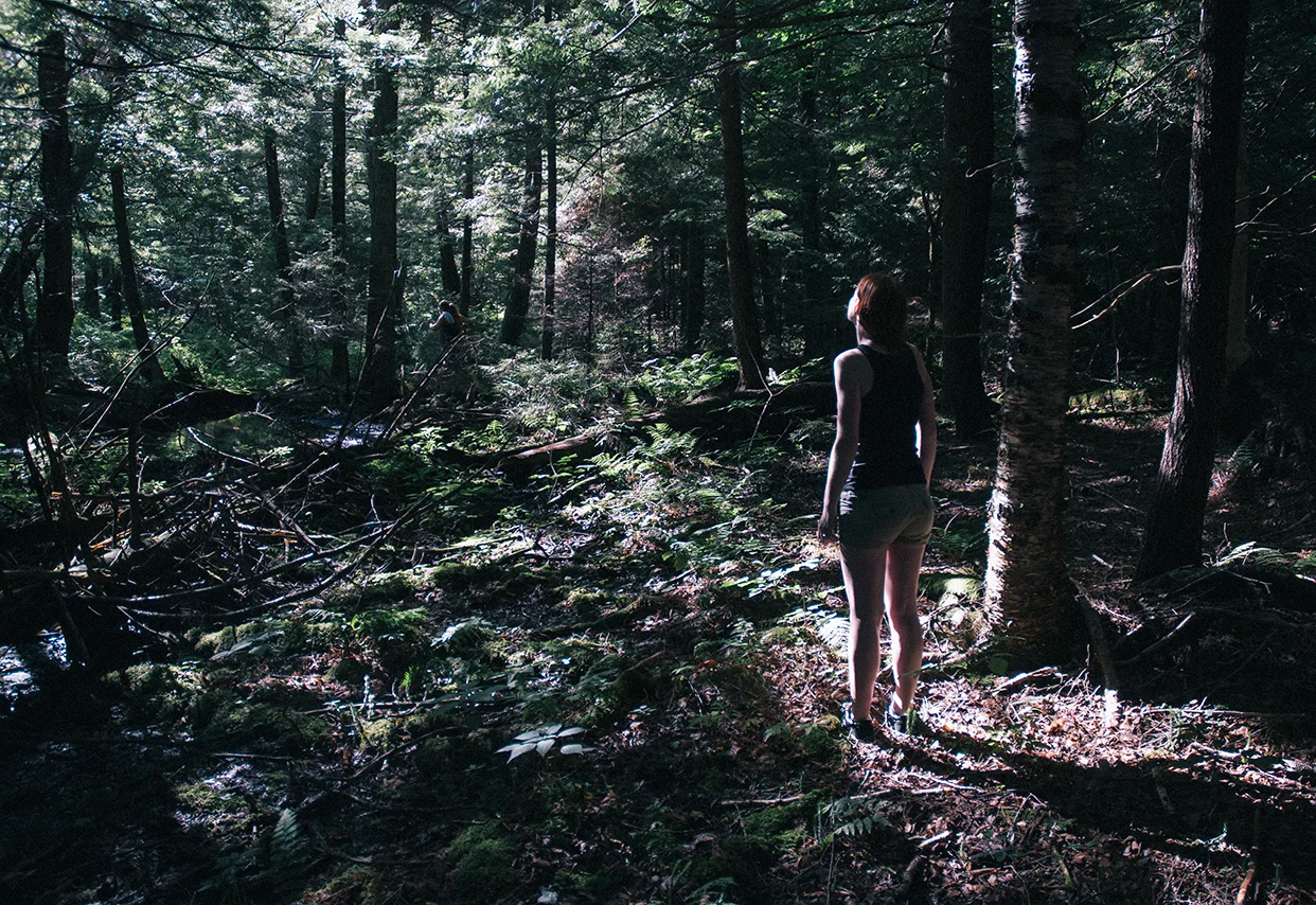 082314_Seekingoutthelight_AndrewFosterPhoto.jpg