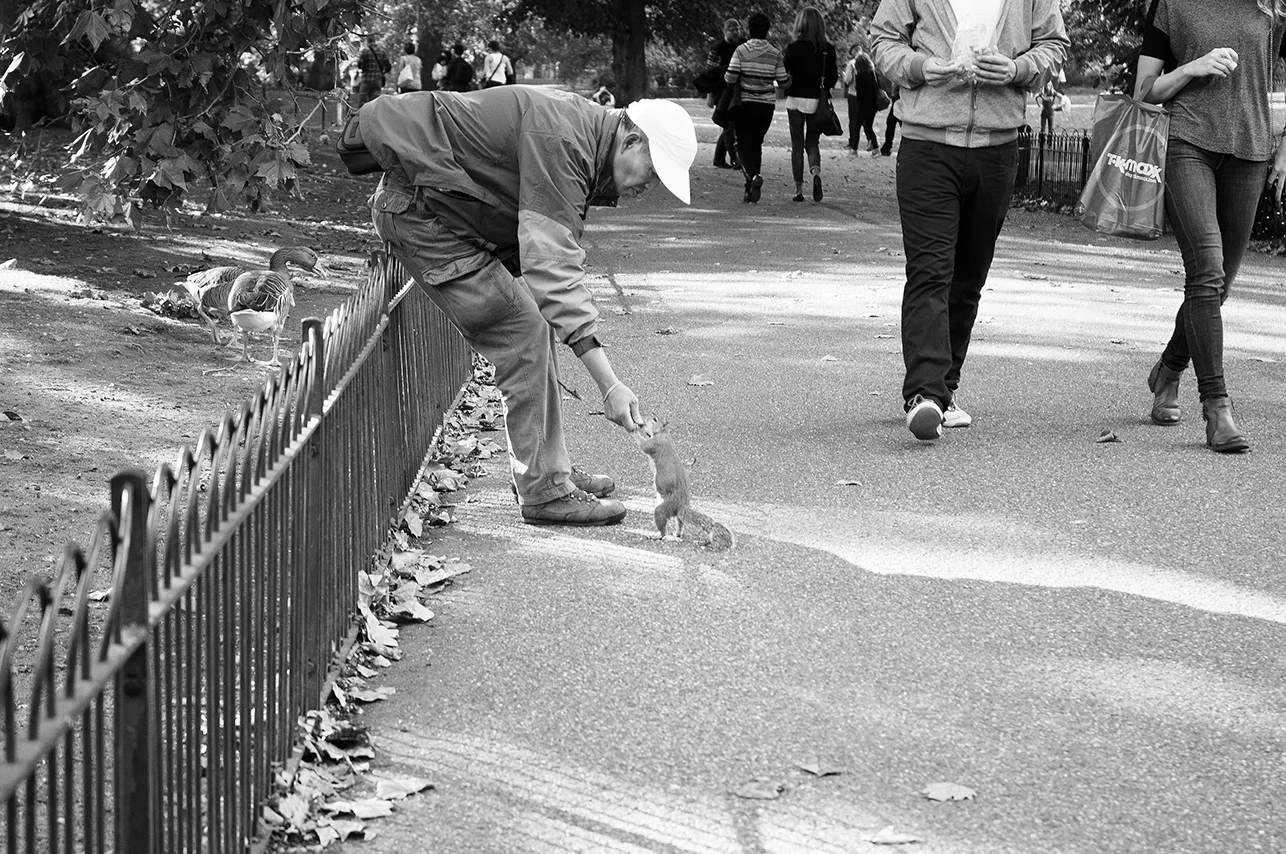 092914_OldmanFeedsSquirrel_AndrewFosterPhoto.jpg