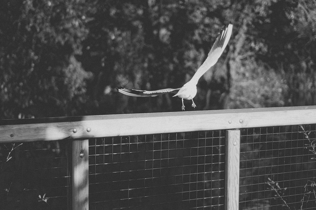 100514_0232.jpg