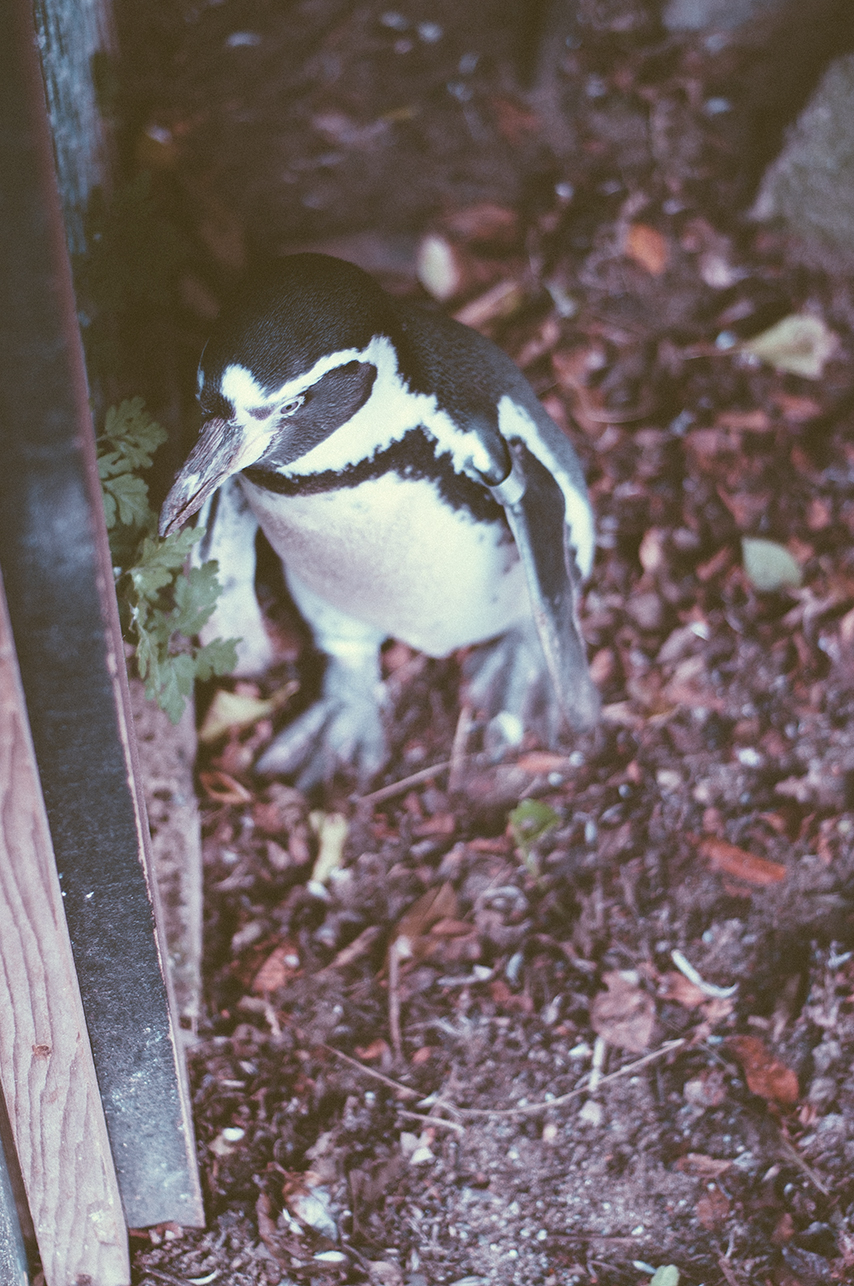 100514_0247.jpg