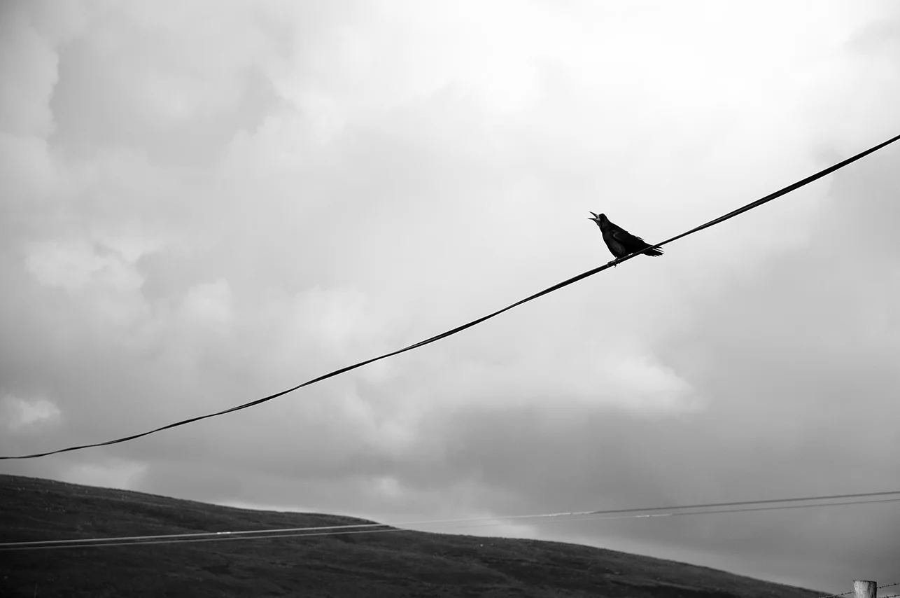 100814_SoundtheAlarm_AndrewFosterPhoto.jpg
