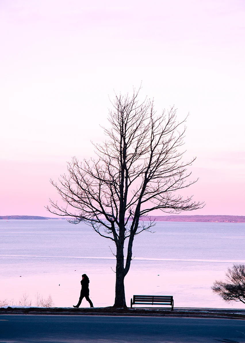 012315_2445.jpg