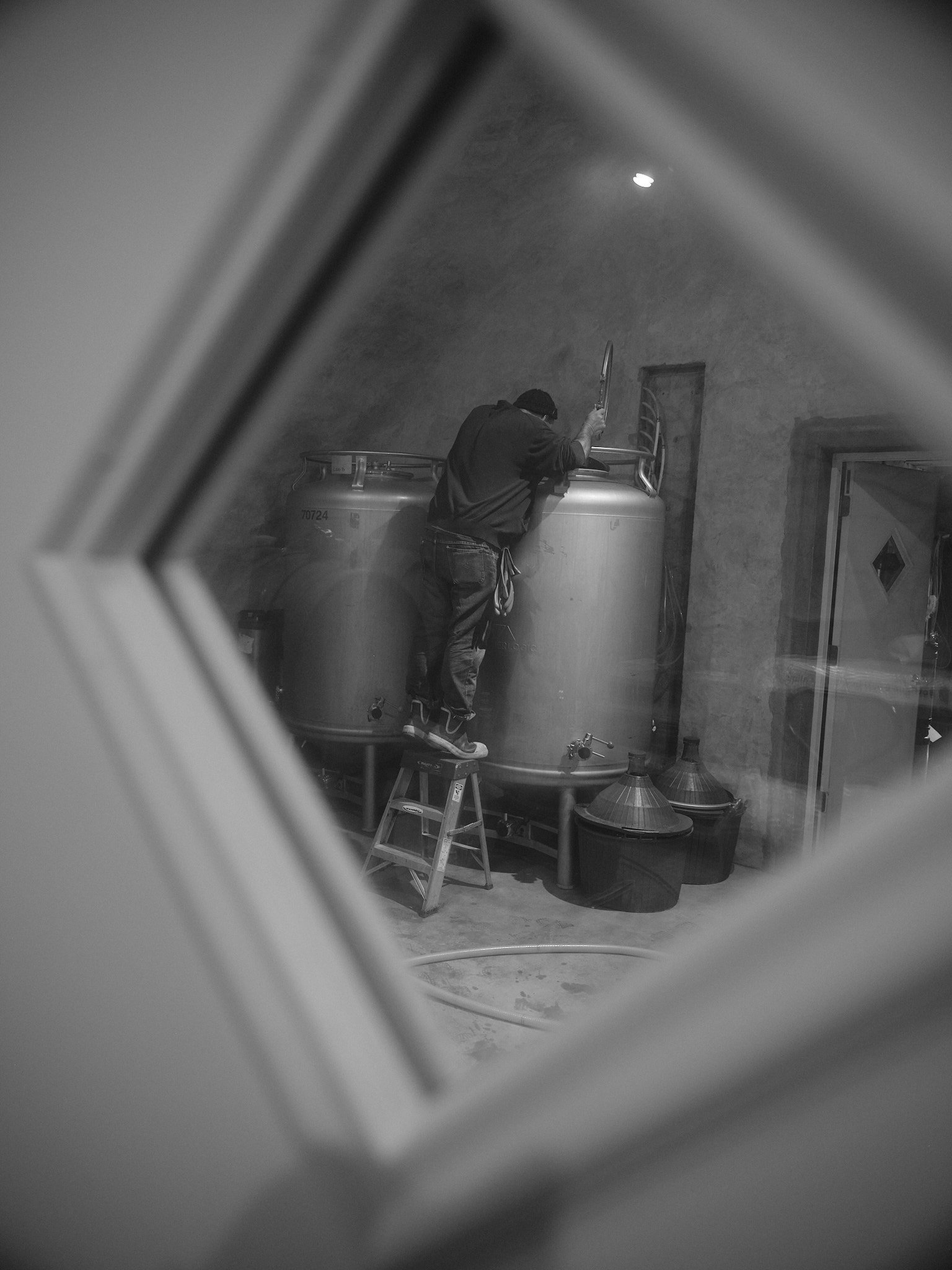 Checking On Fermentation 