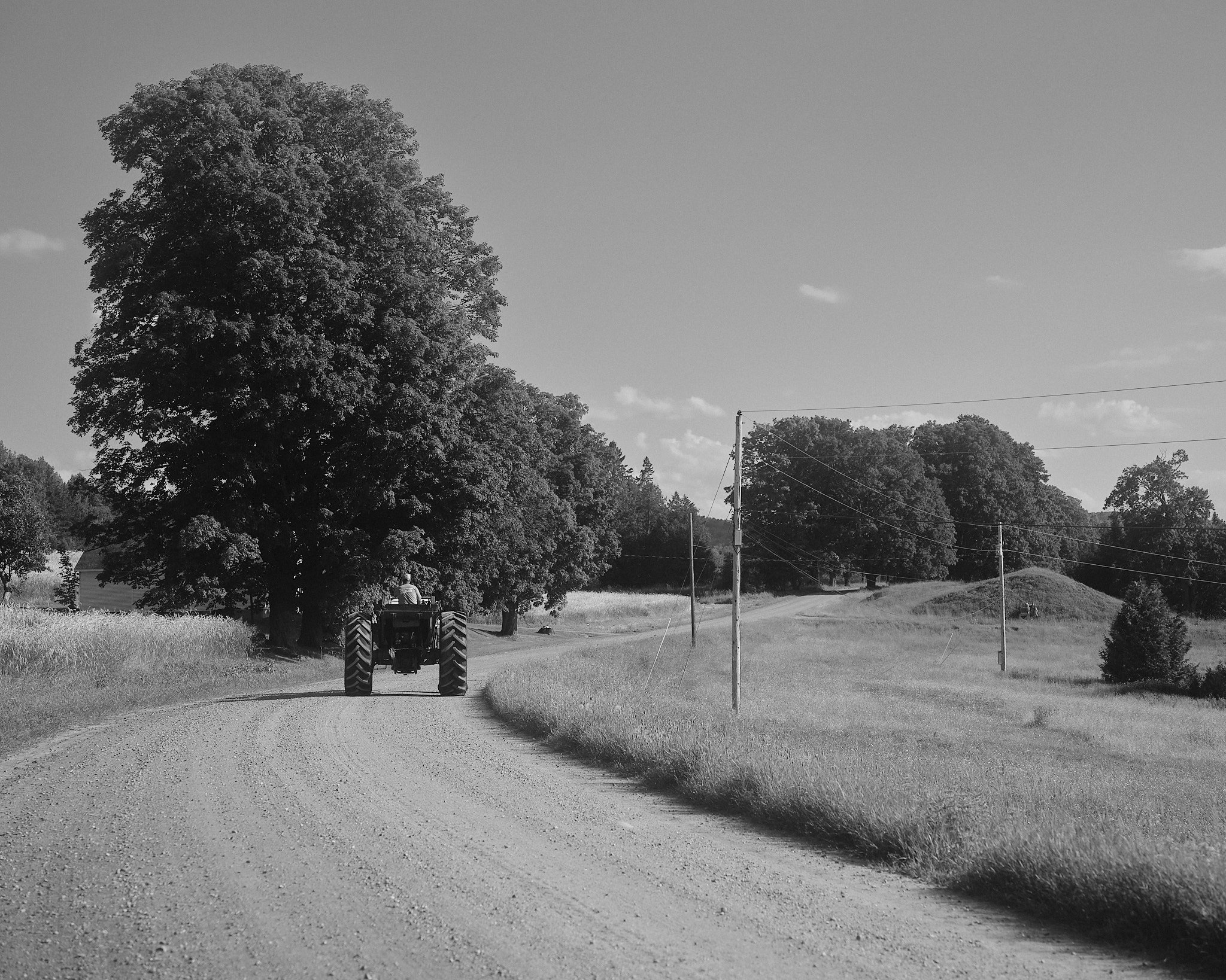 Dirt Road Daydreams