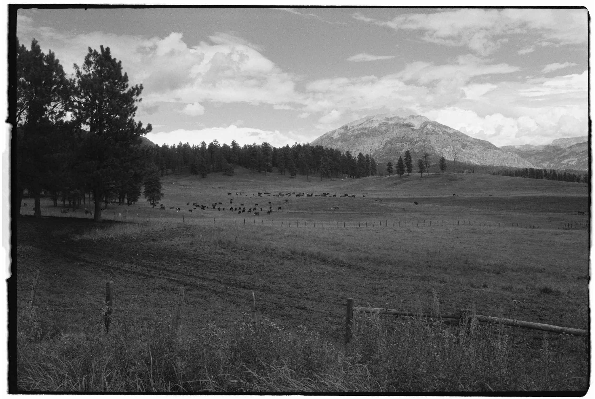 af8092004390-r1-e003 2.JPG