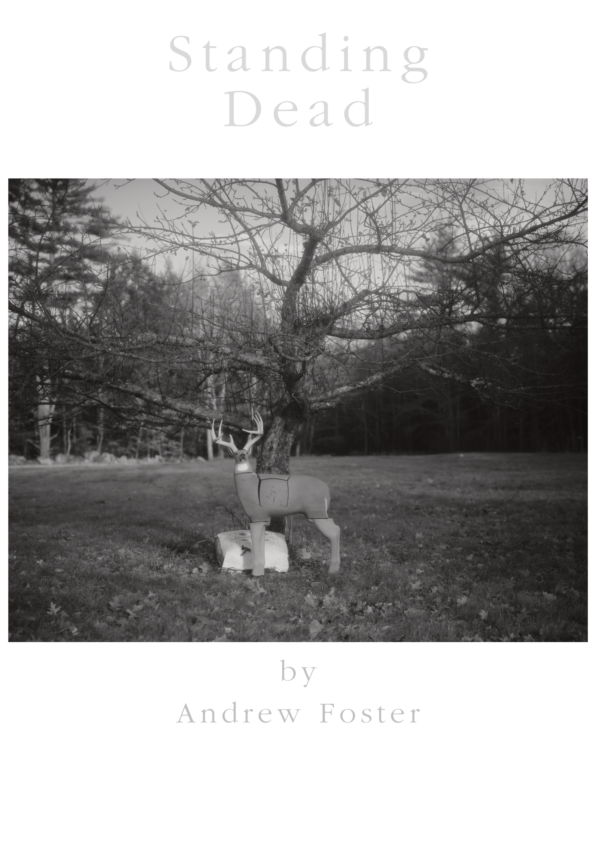 Standing Deadtight_1.png