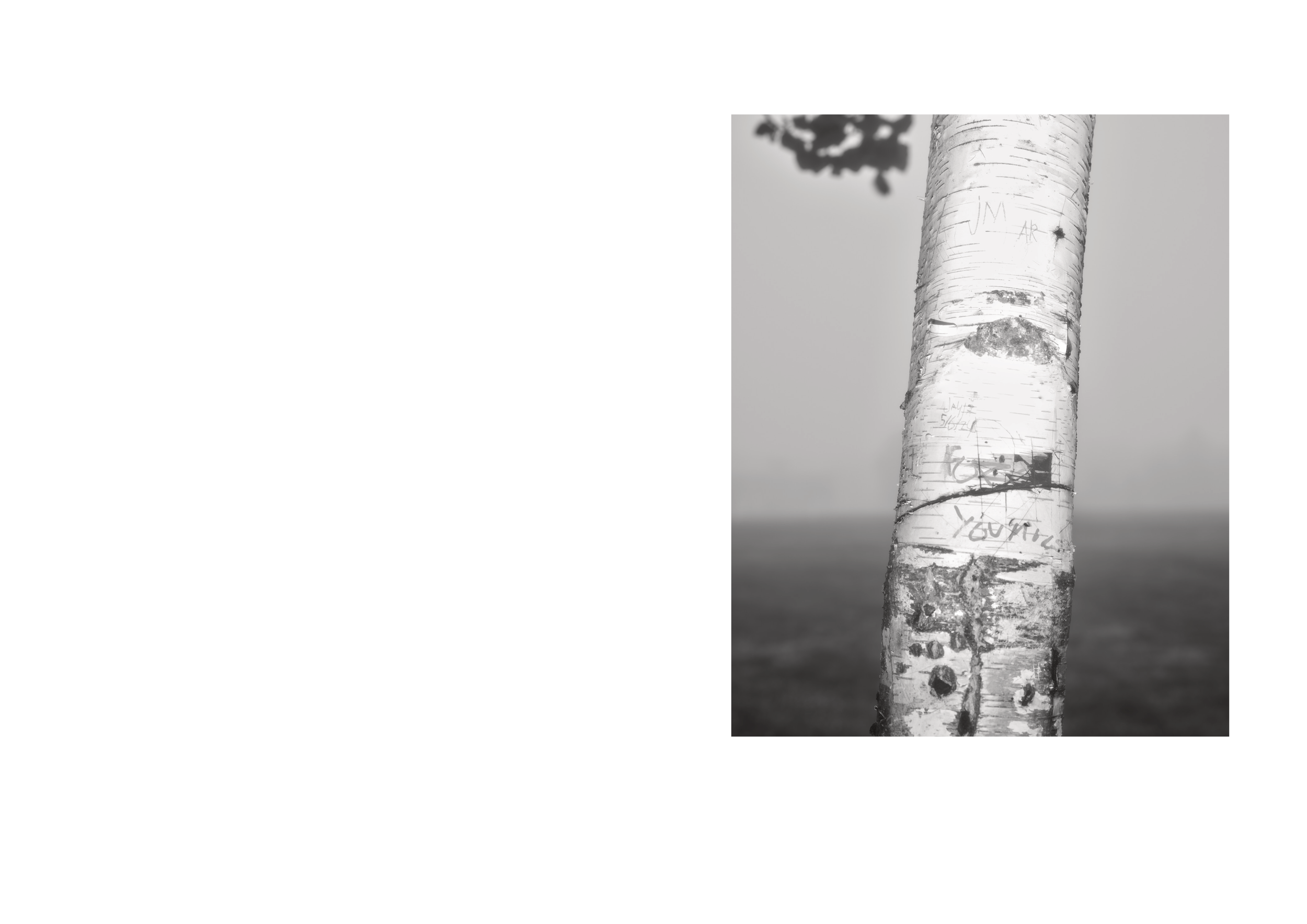 Standing Deadtight_9.png