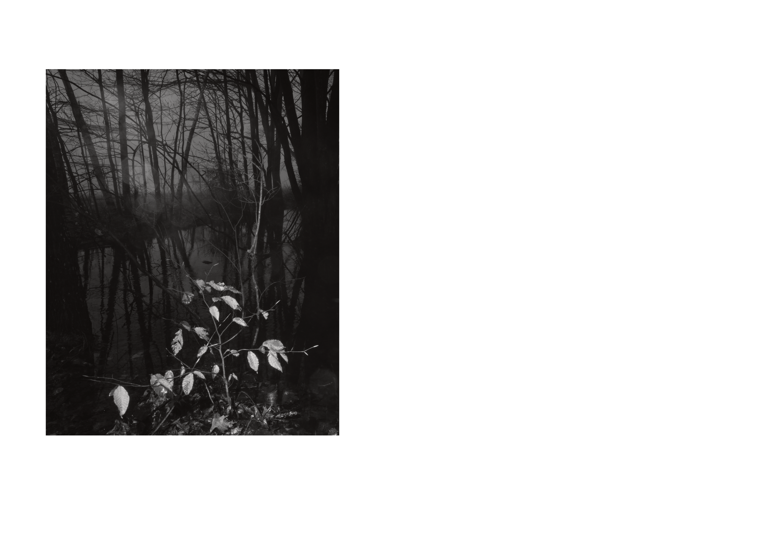 Standing Deadtight_10.png