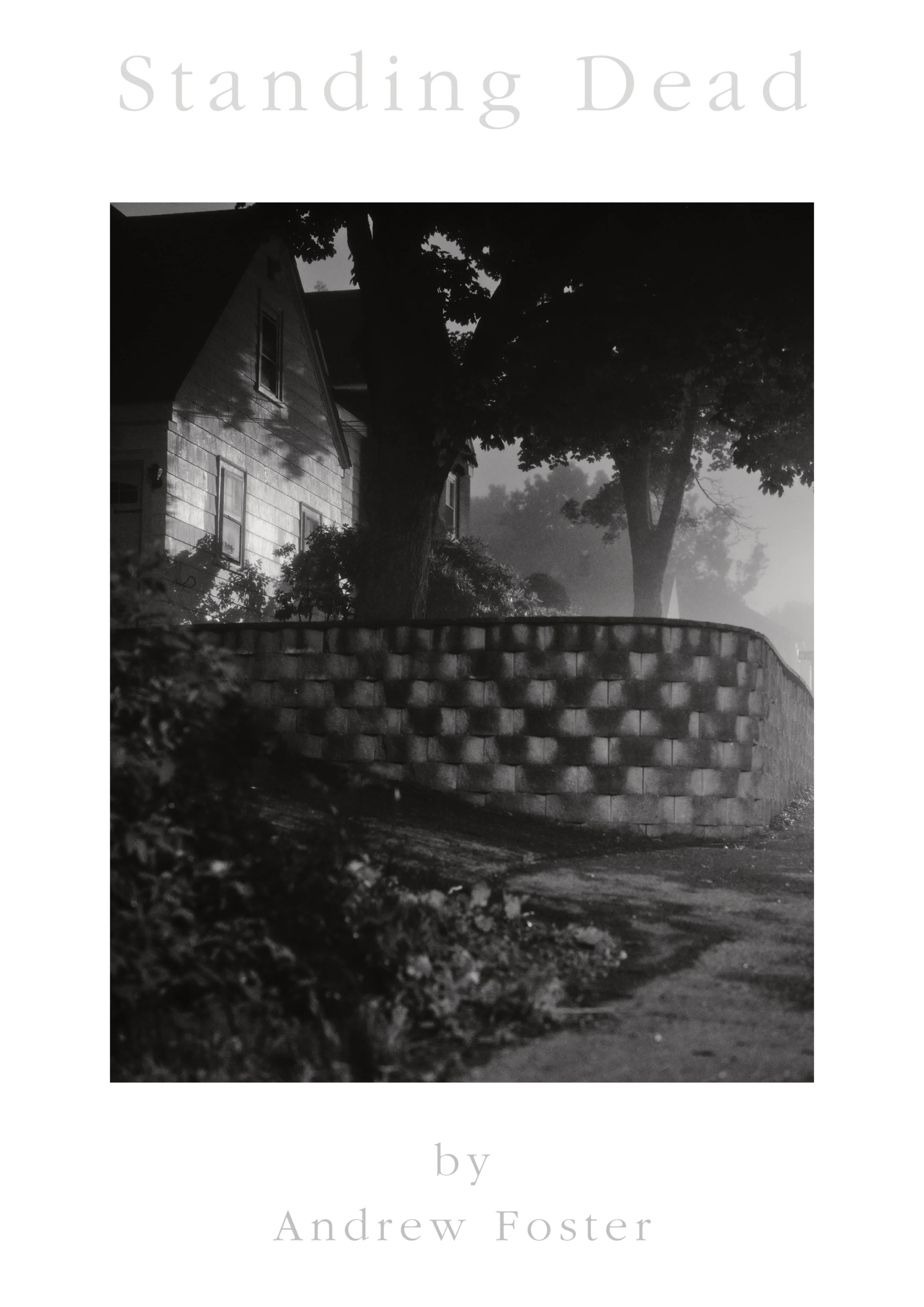 Standing Deadtightwebsite_1.webp