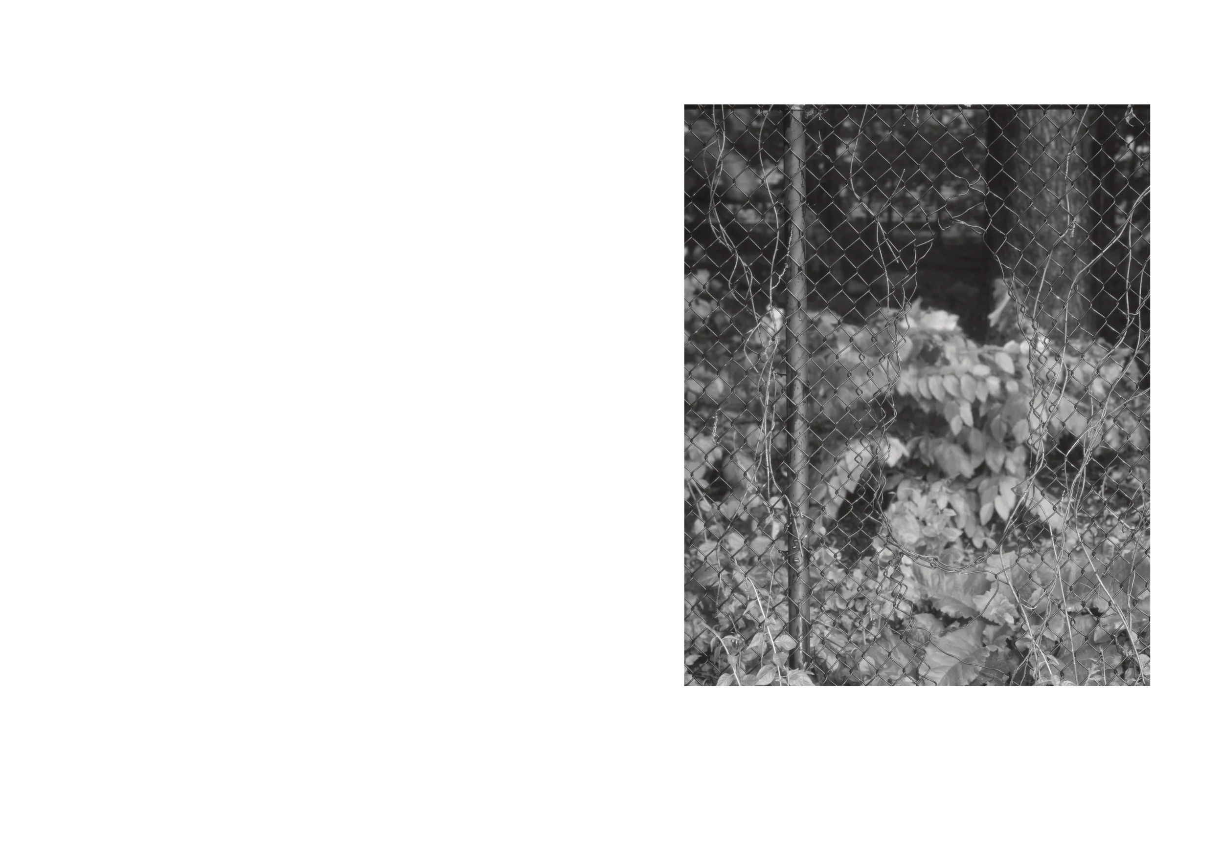 Standing Deadtightwebsite_5.webp