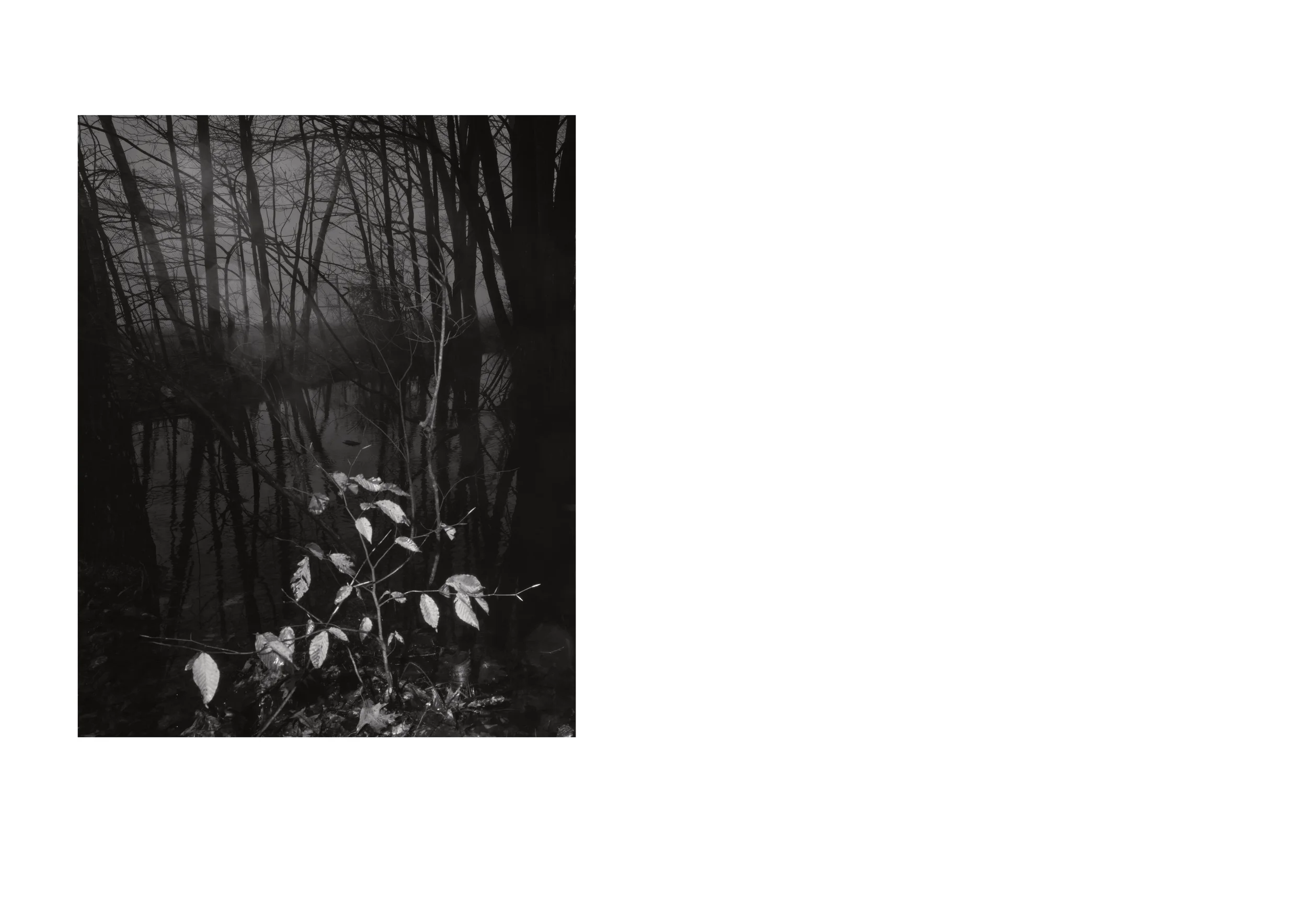 Standing Deadtightwebsite_14.webp