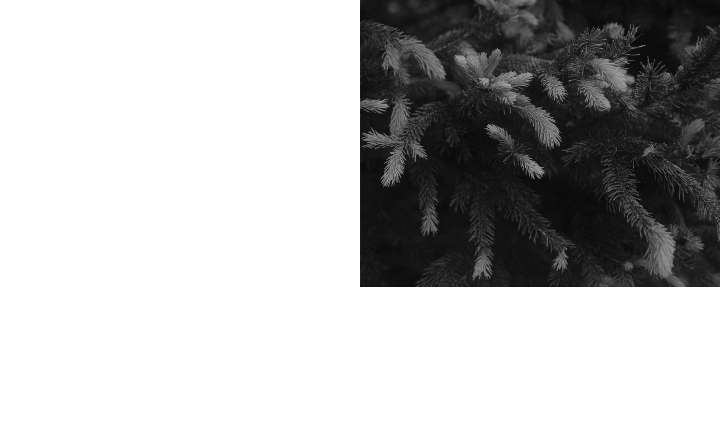 Wunderkammervisualdirectioncasestudy_AndrewFoster_Page_06.png