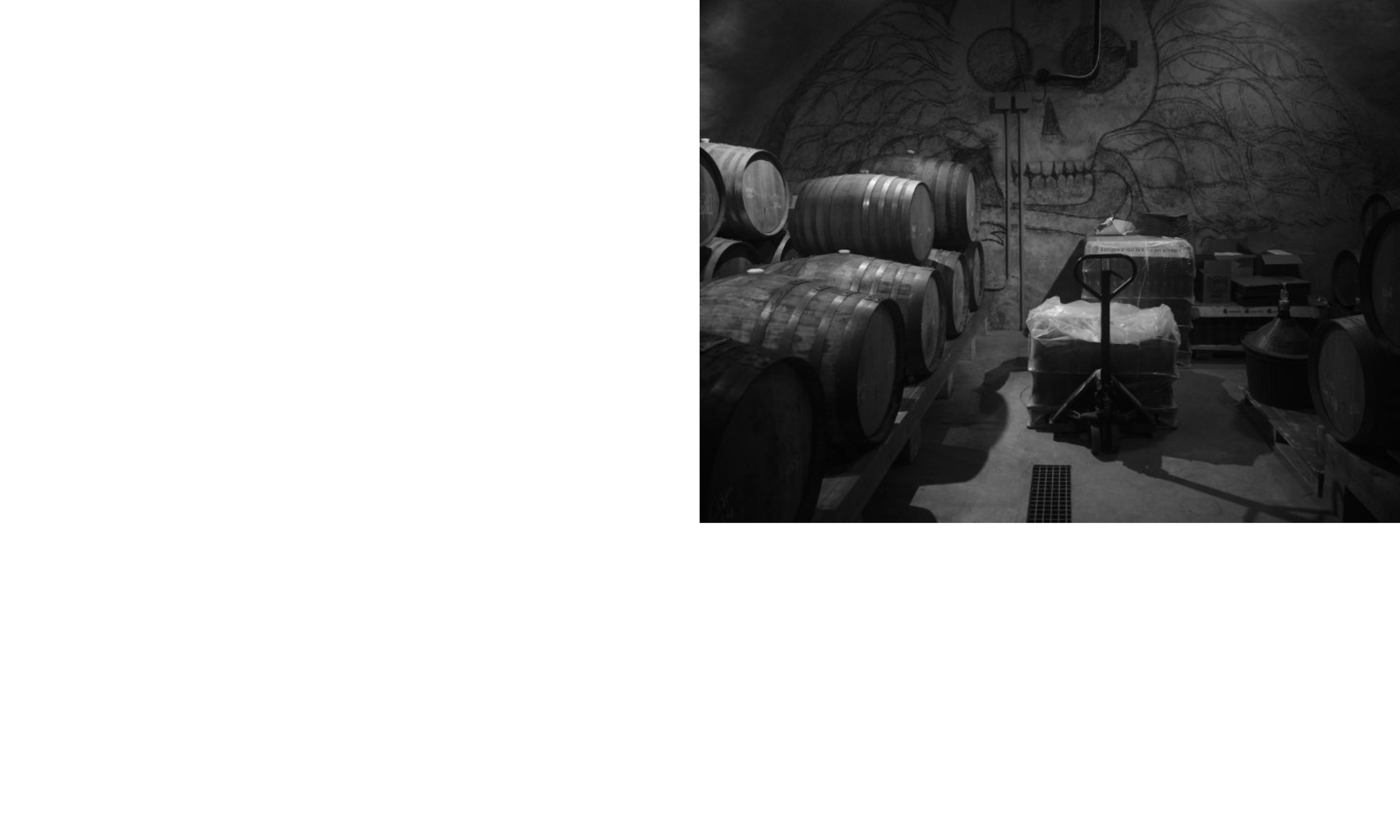 Wunderkammervisualdirectioncasestudy_AndrewFoster_Page_14.png
