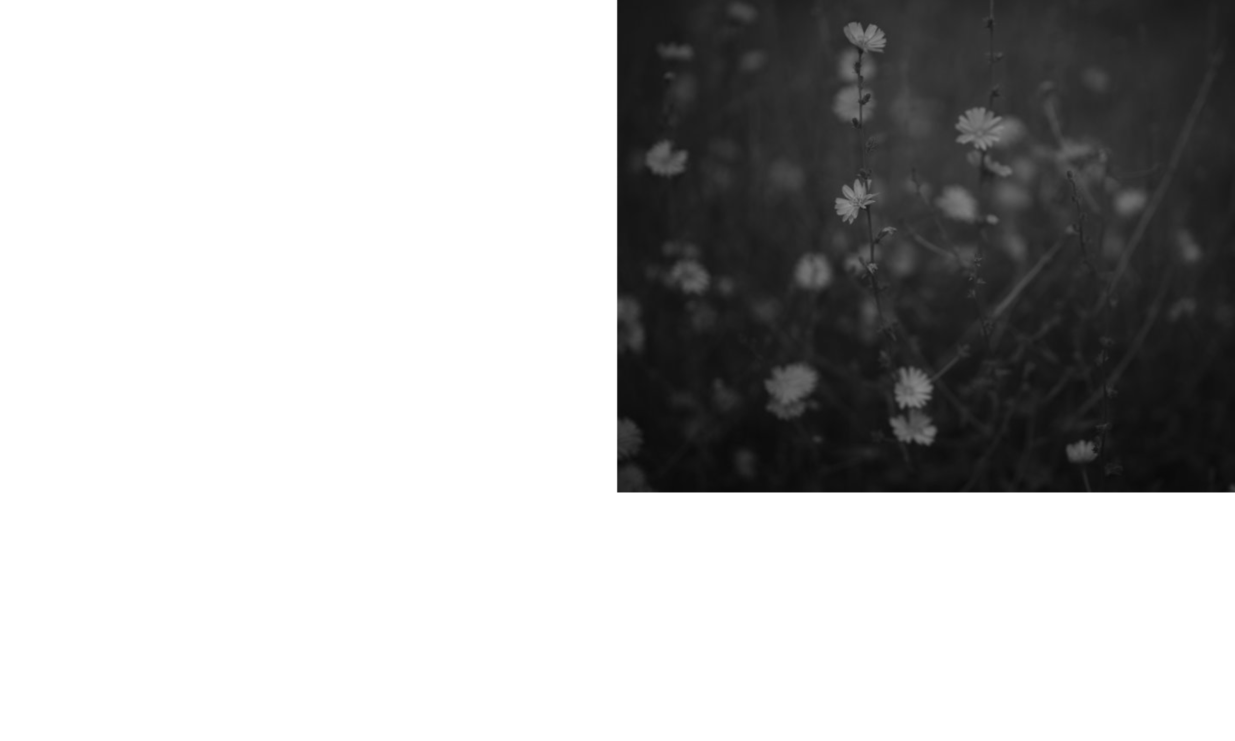 Wunderkammervisualdirectioncasestudy_AndrewFoster_Page_16.png
