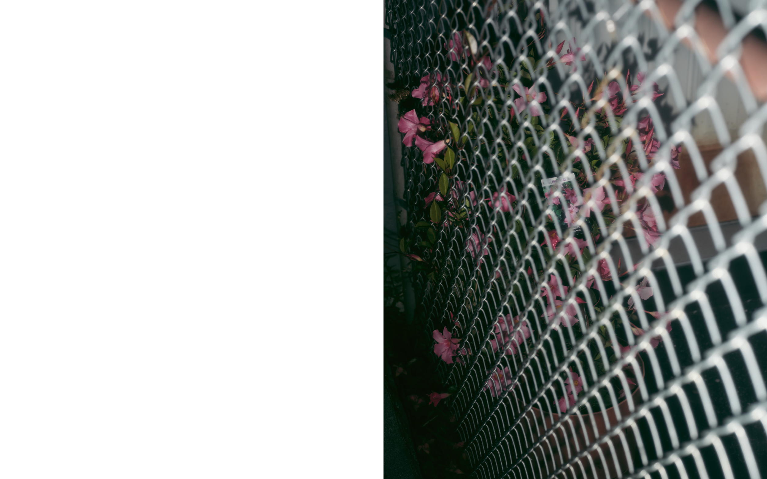 ThePerimeter_Andrew_Foster_wip2026_8.png