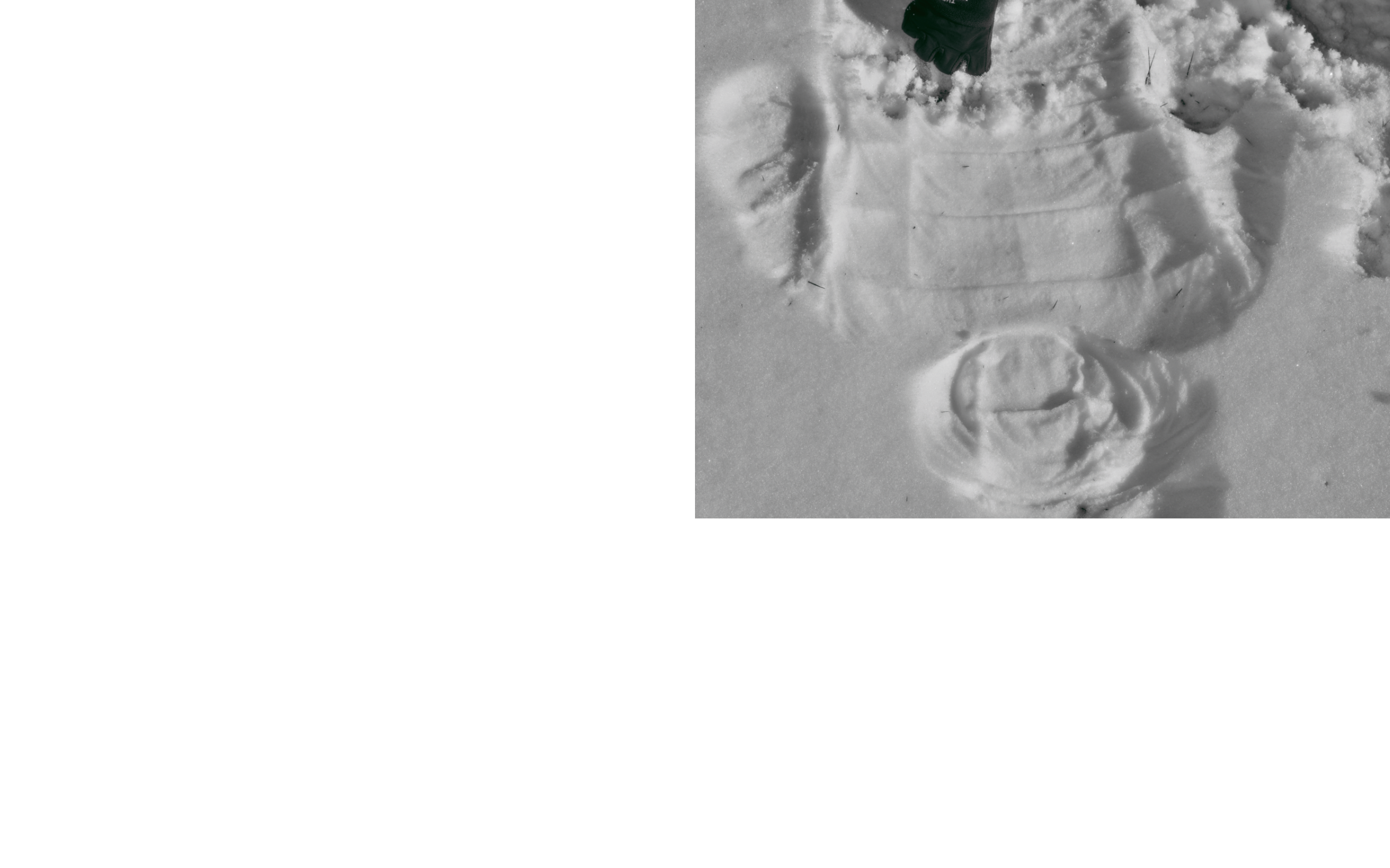 ThePerimeter_Andrew_Foster_wip2026_11.png