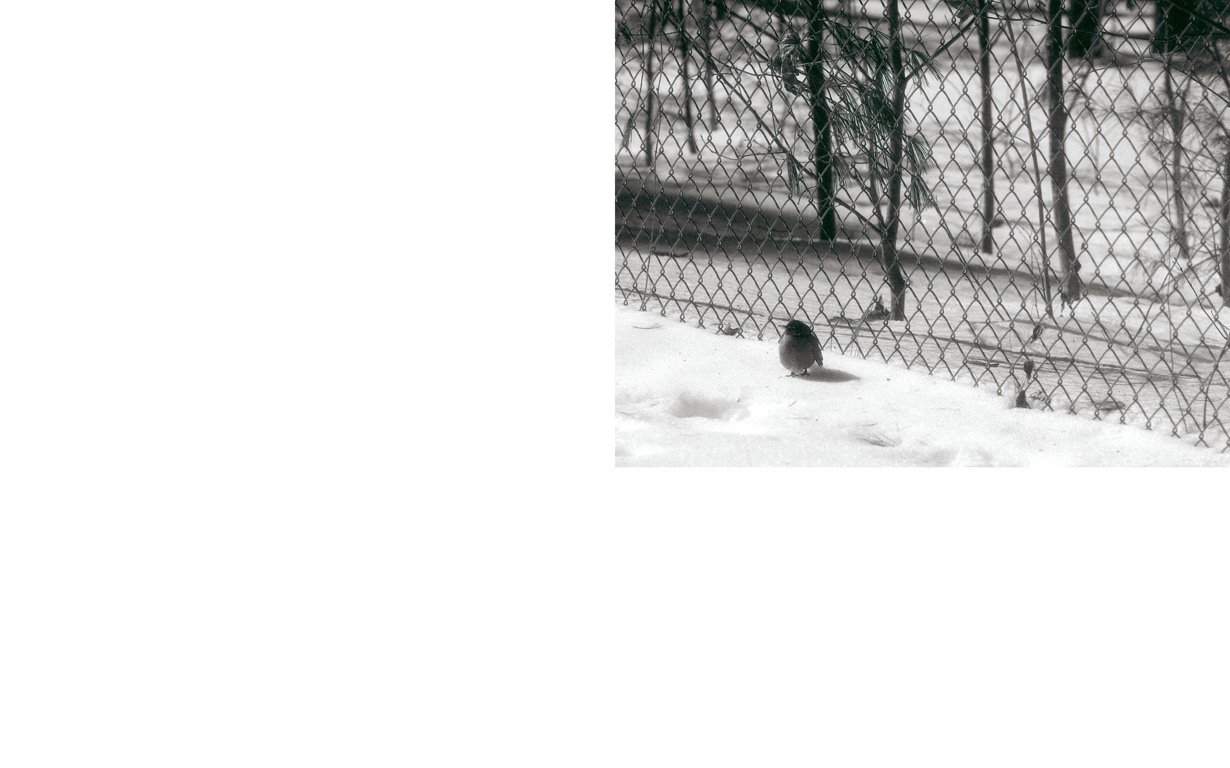 ThePerimeter_Andrew_Foster_wip2026_10.png