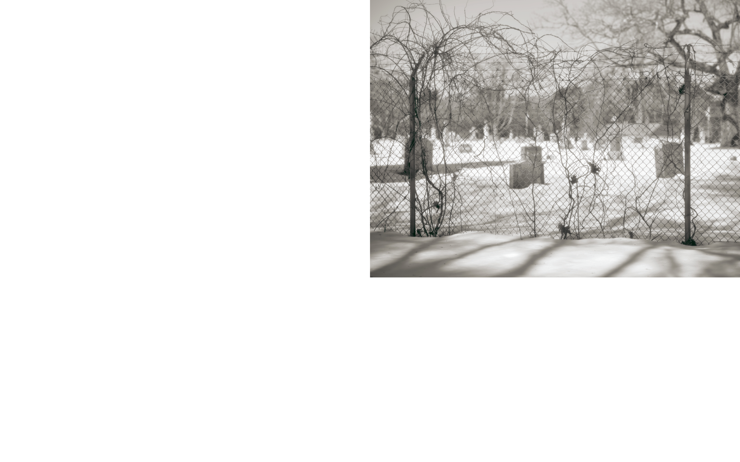 ThePerimeter_Andrew_Foster_wip2026_16.png