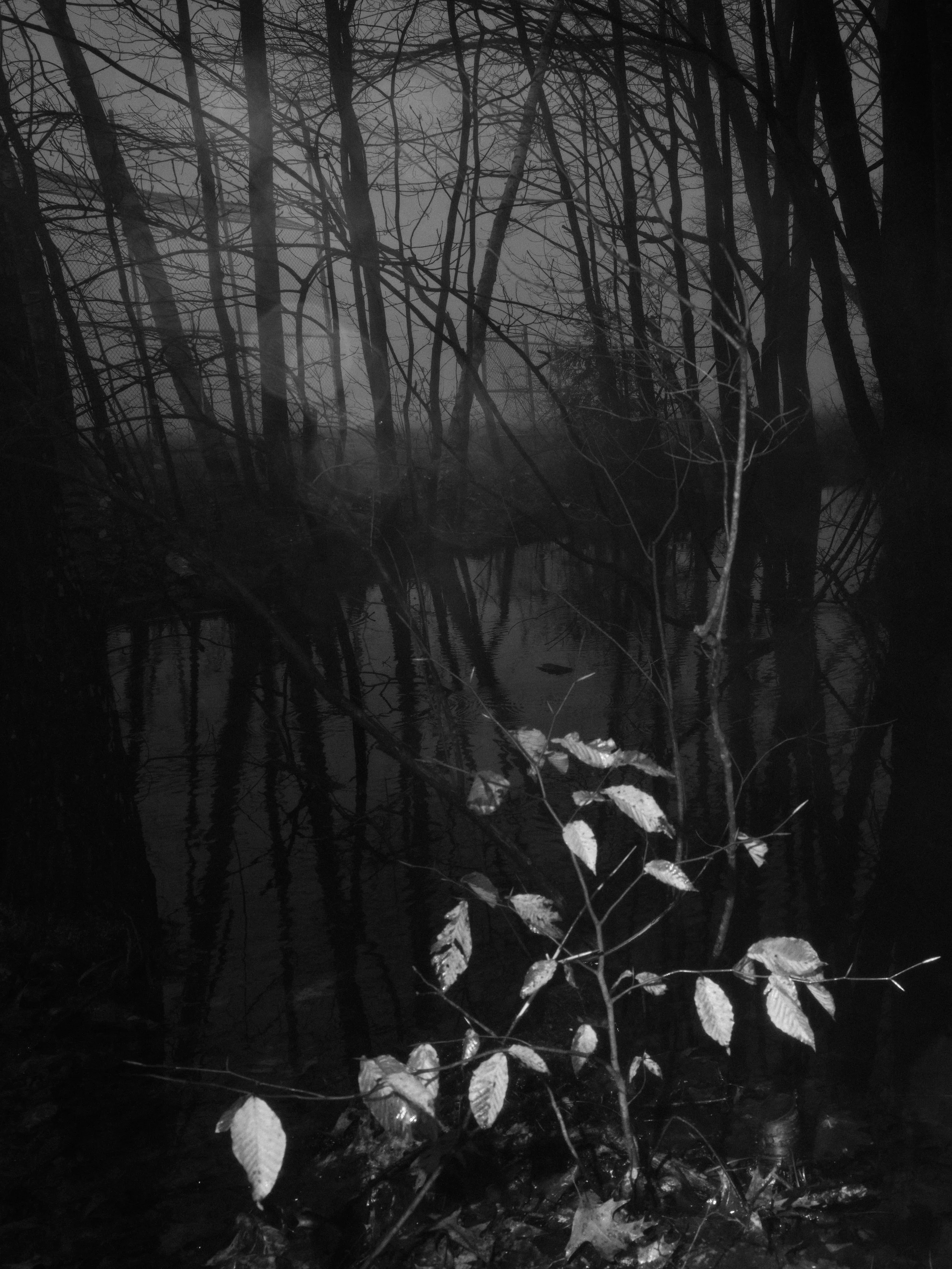 DSCF1303 3.jpg