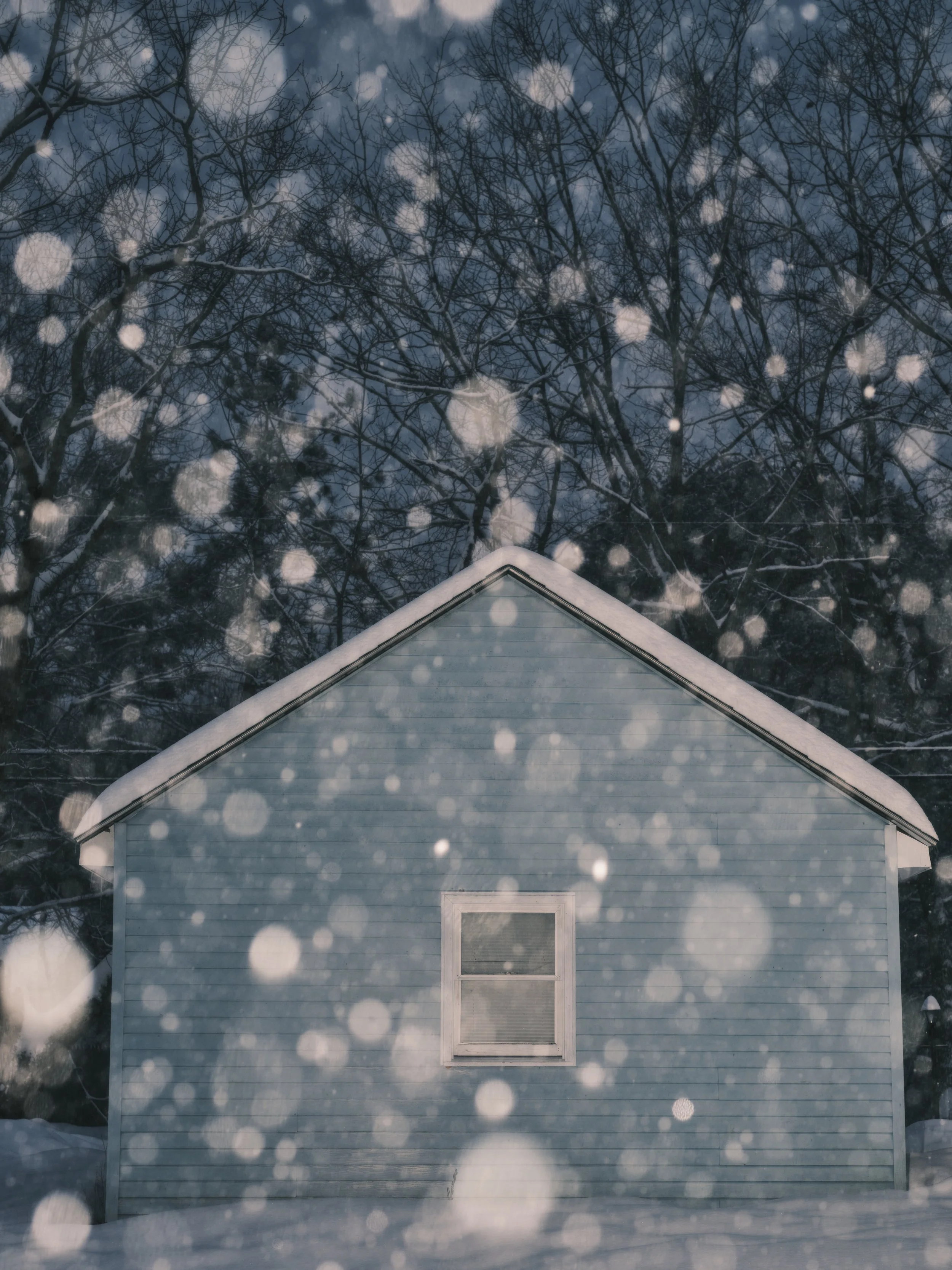 DSCF2875 1.jpg