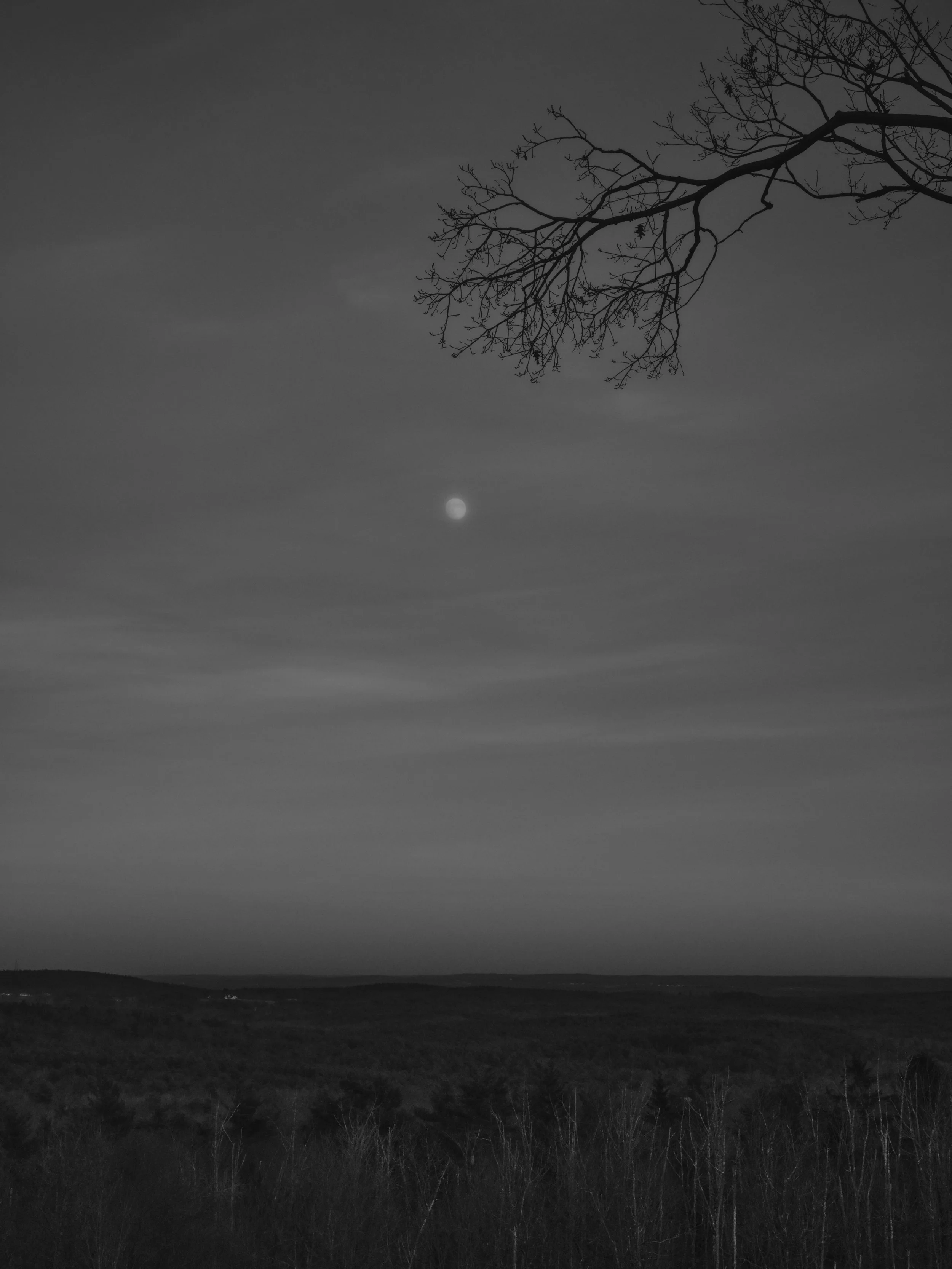 DSCF9690 1.jpg