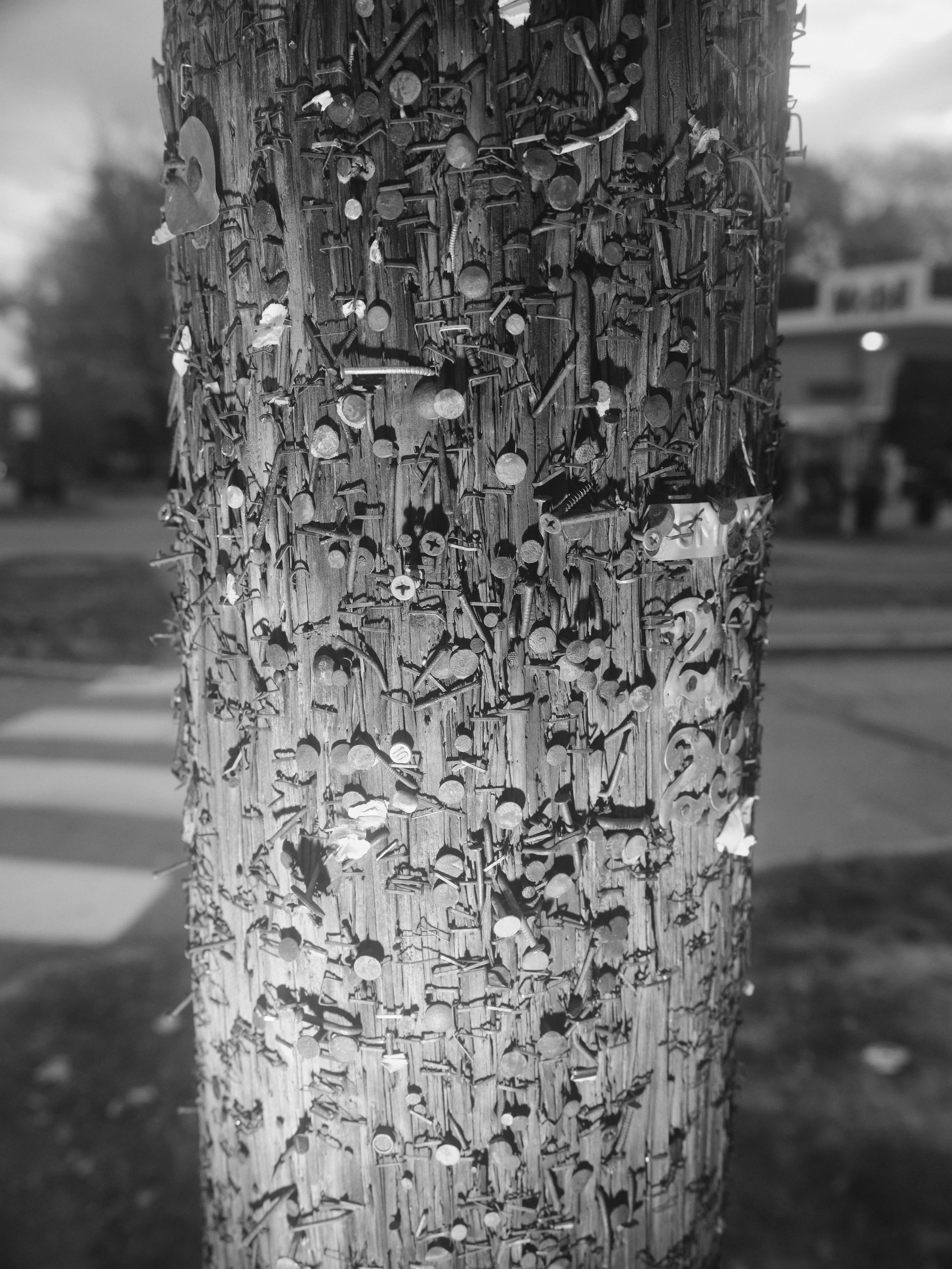 DSCF3838.jpg