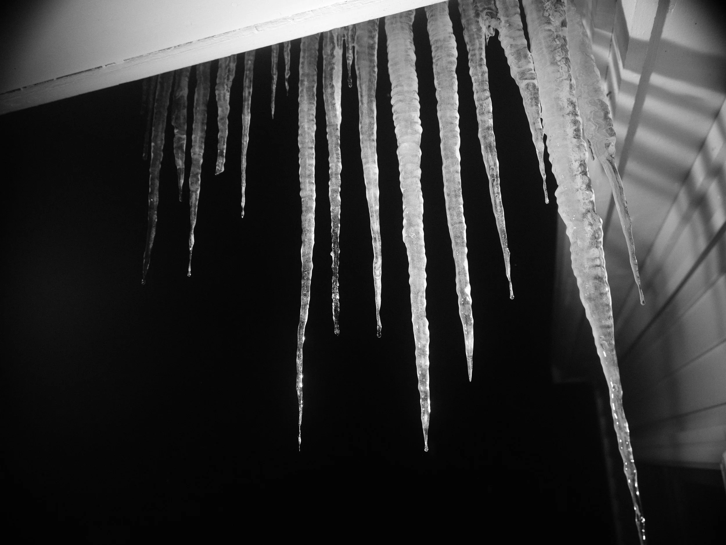 DSCF2851.jpg