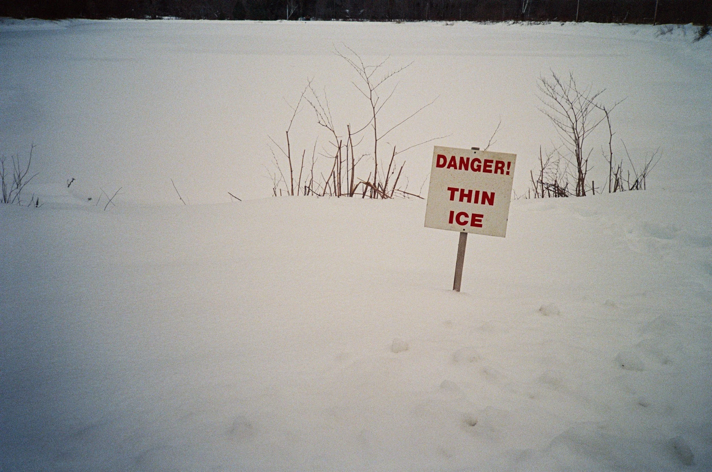 IMG_4772dangerthinice.jpg