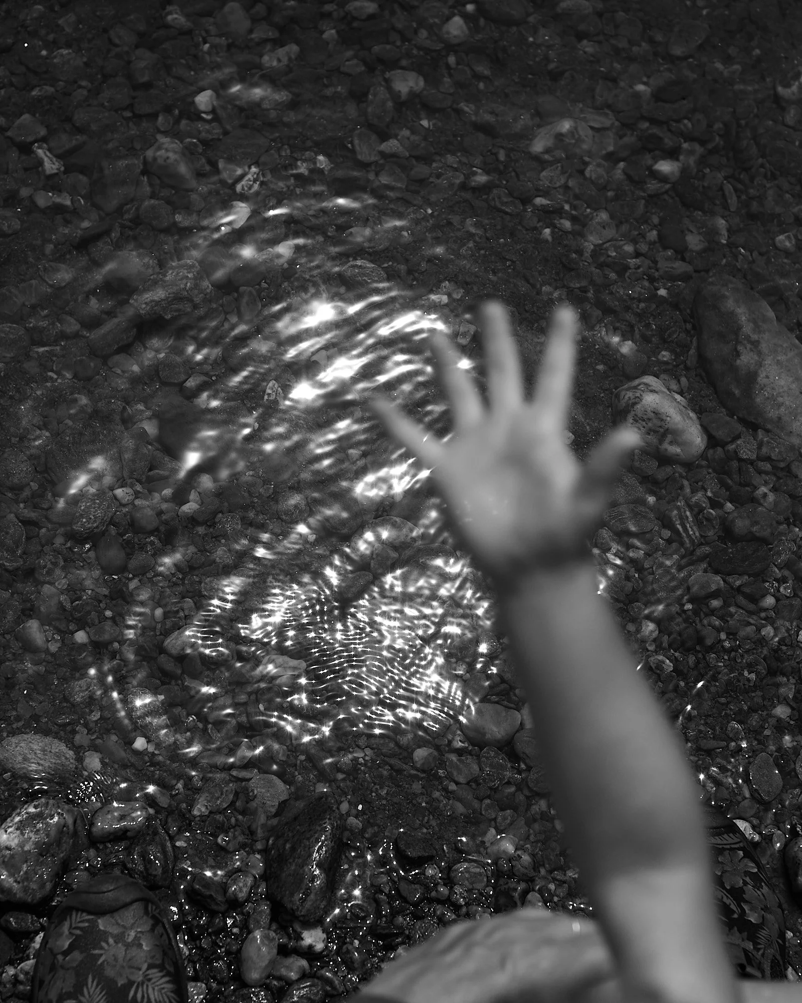 071121_8453 2.jpeg