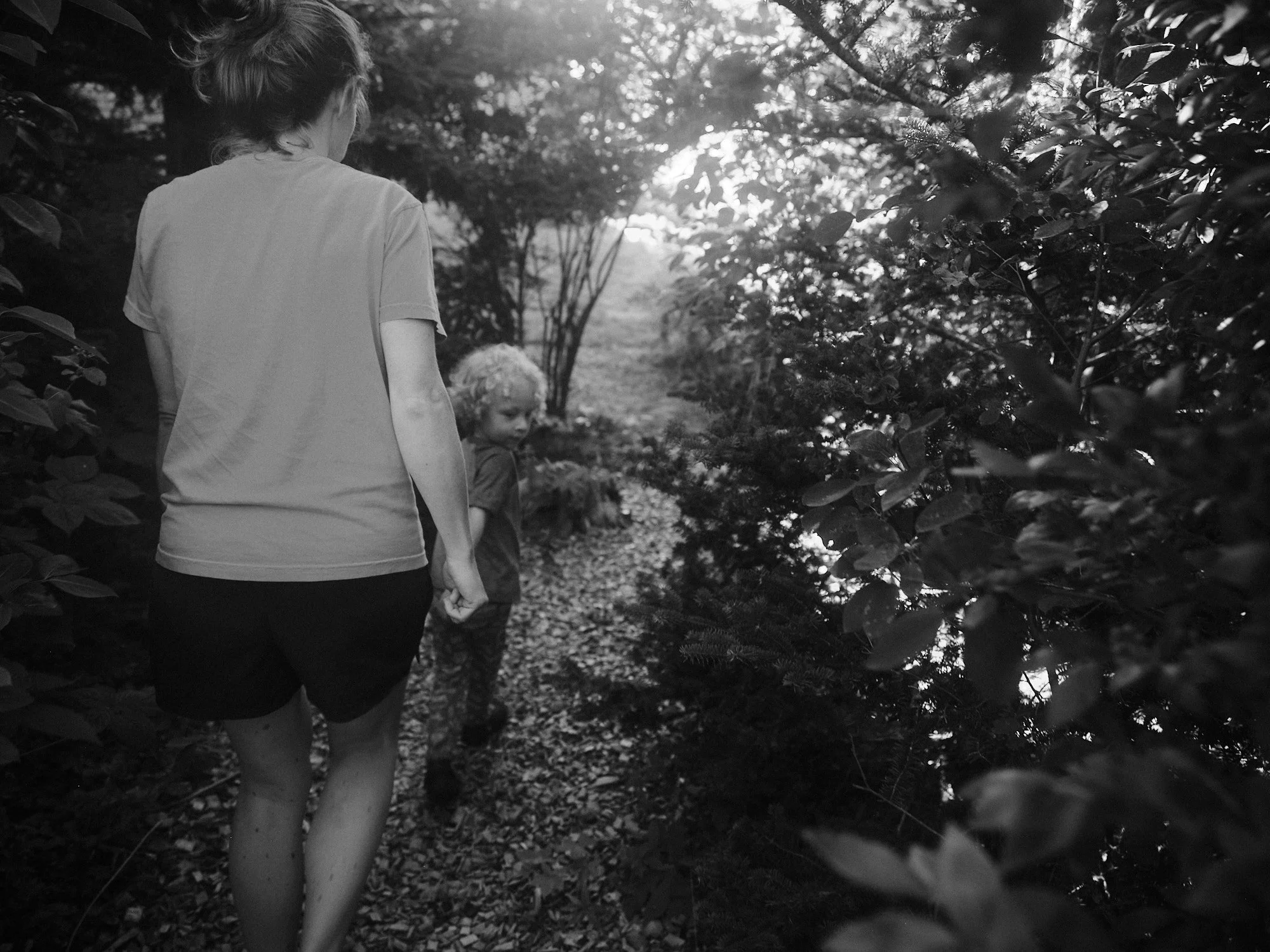 The Long Way Home