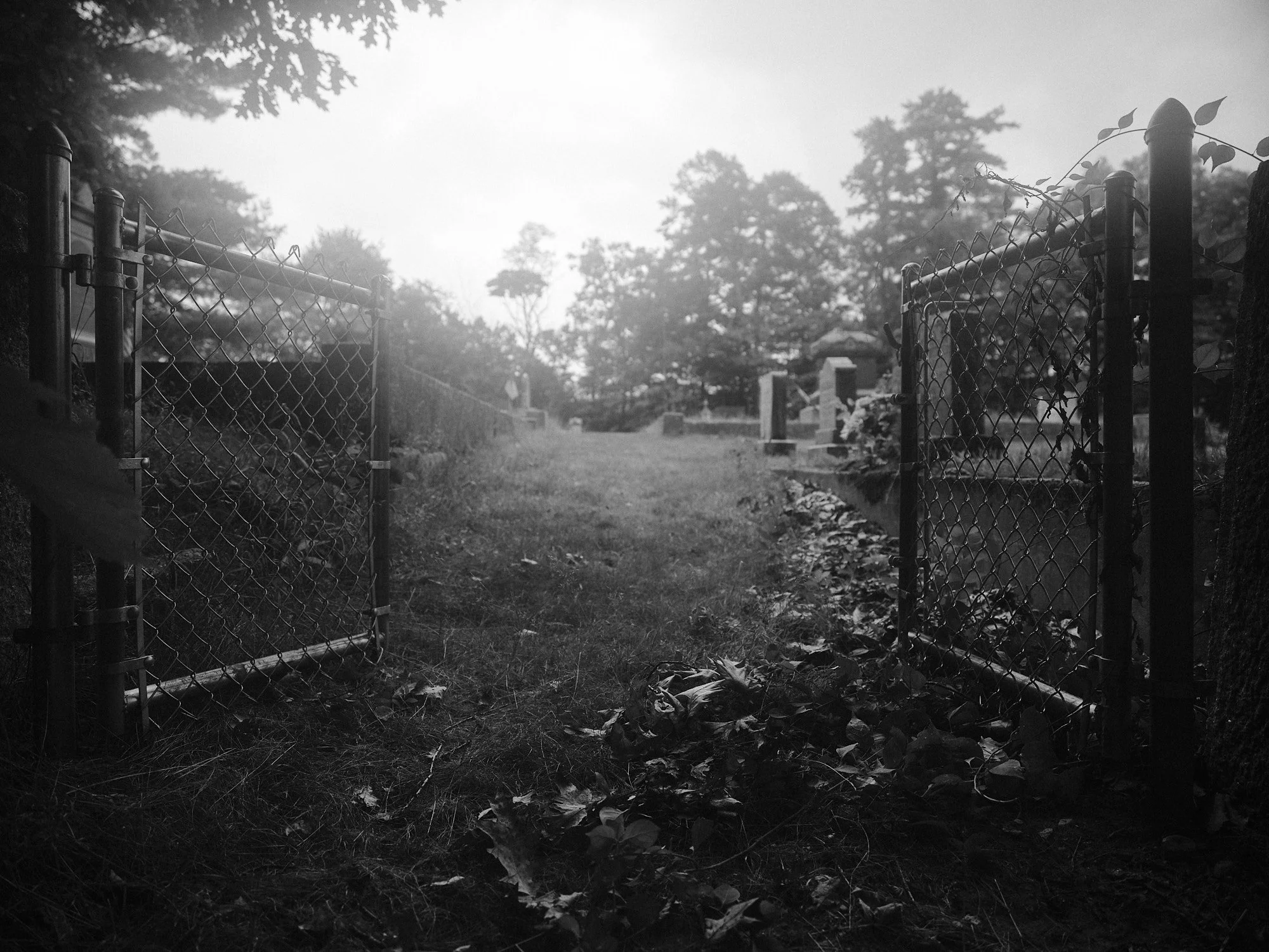 DSCF4339.jpg